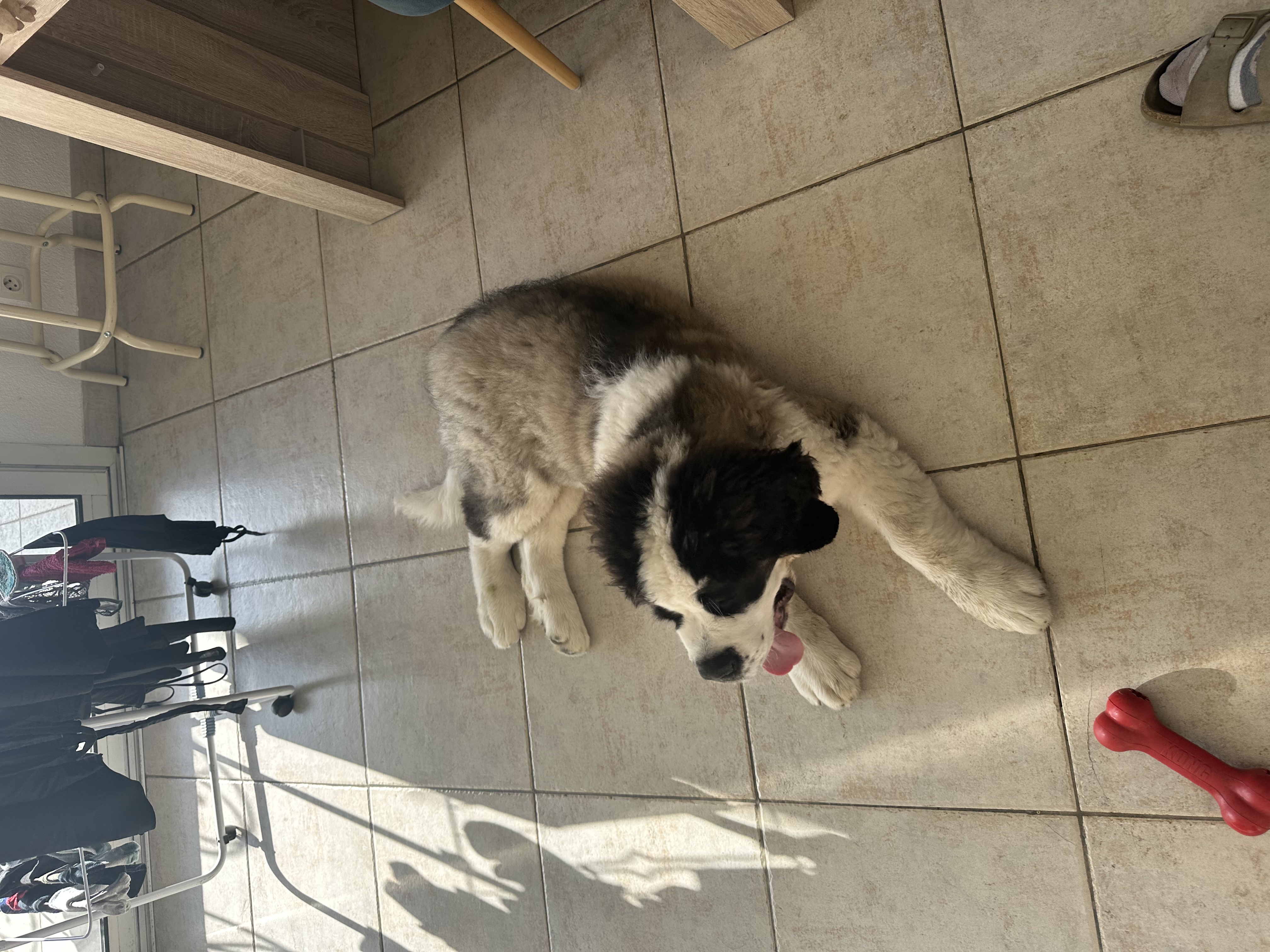 image-10
