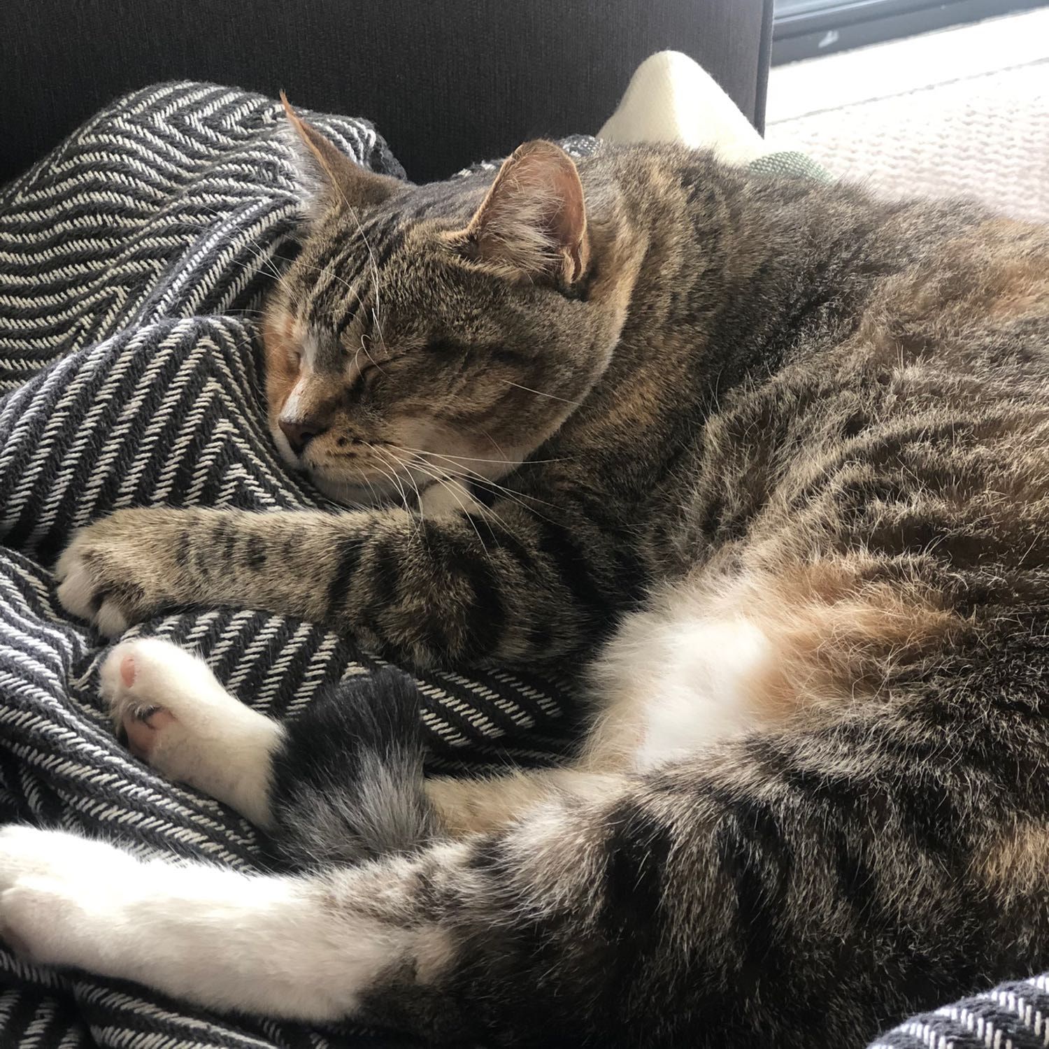 Luna