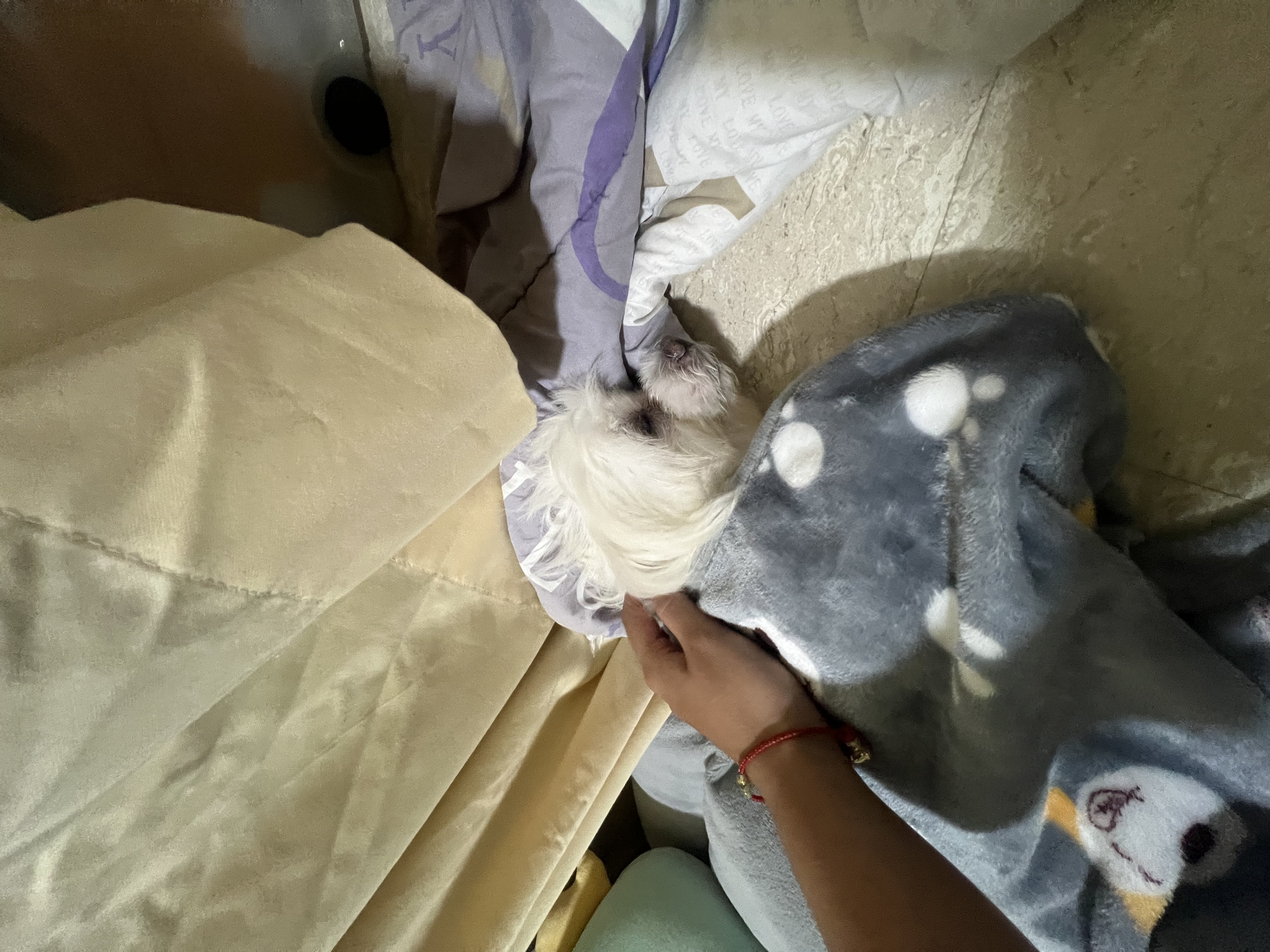 image-5