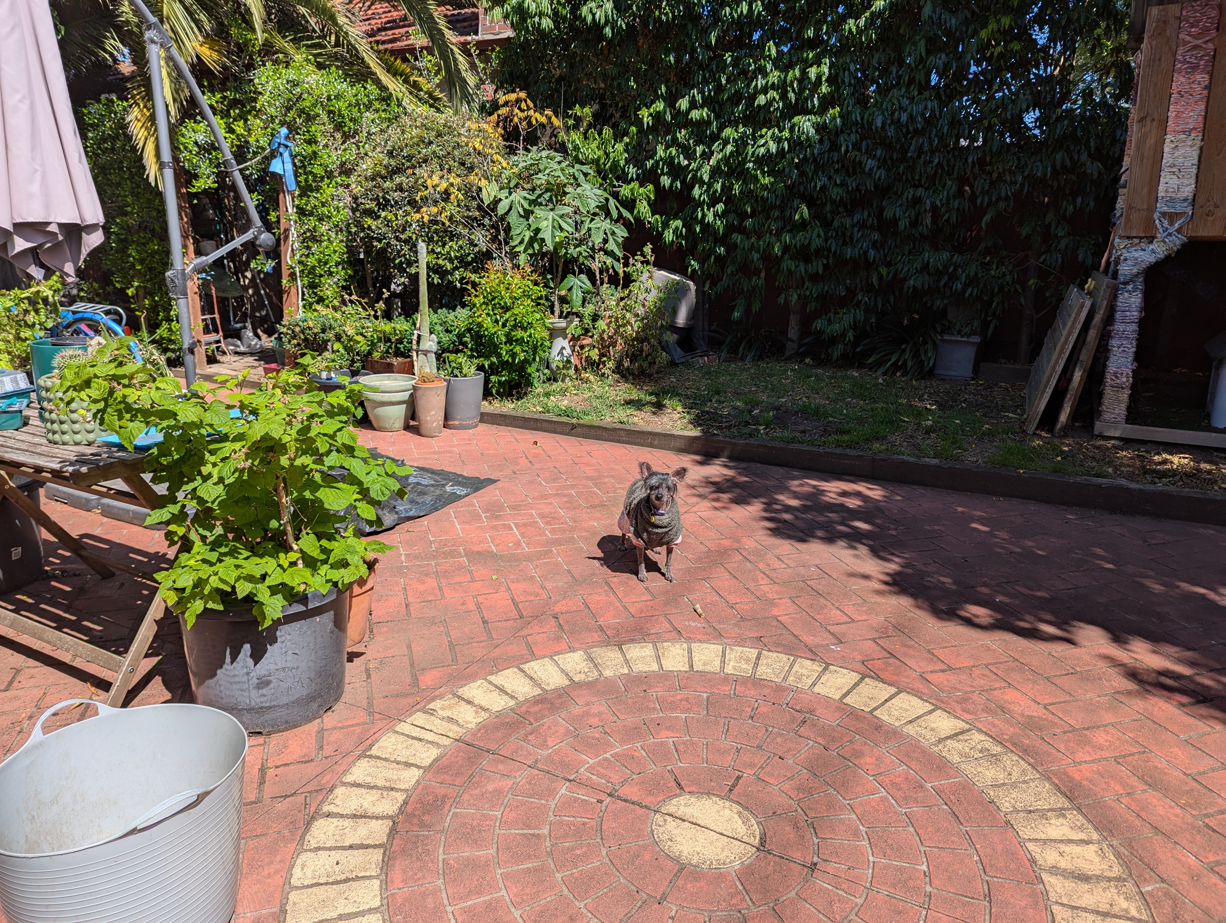 image-18