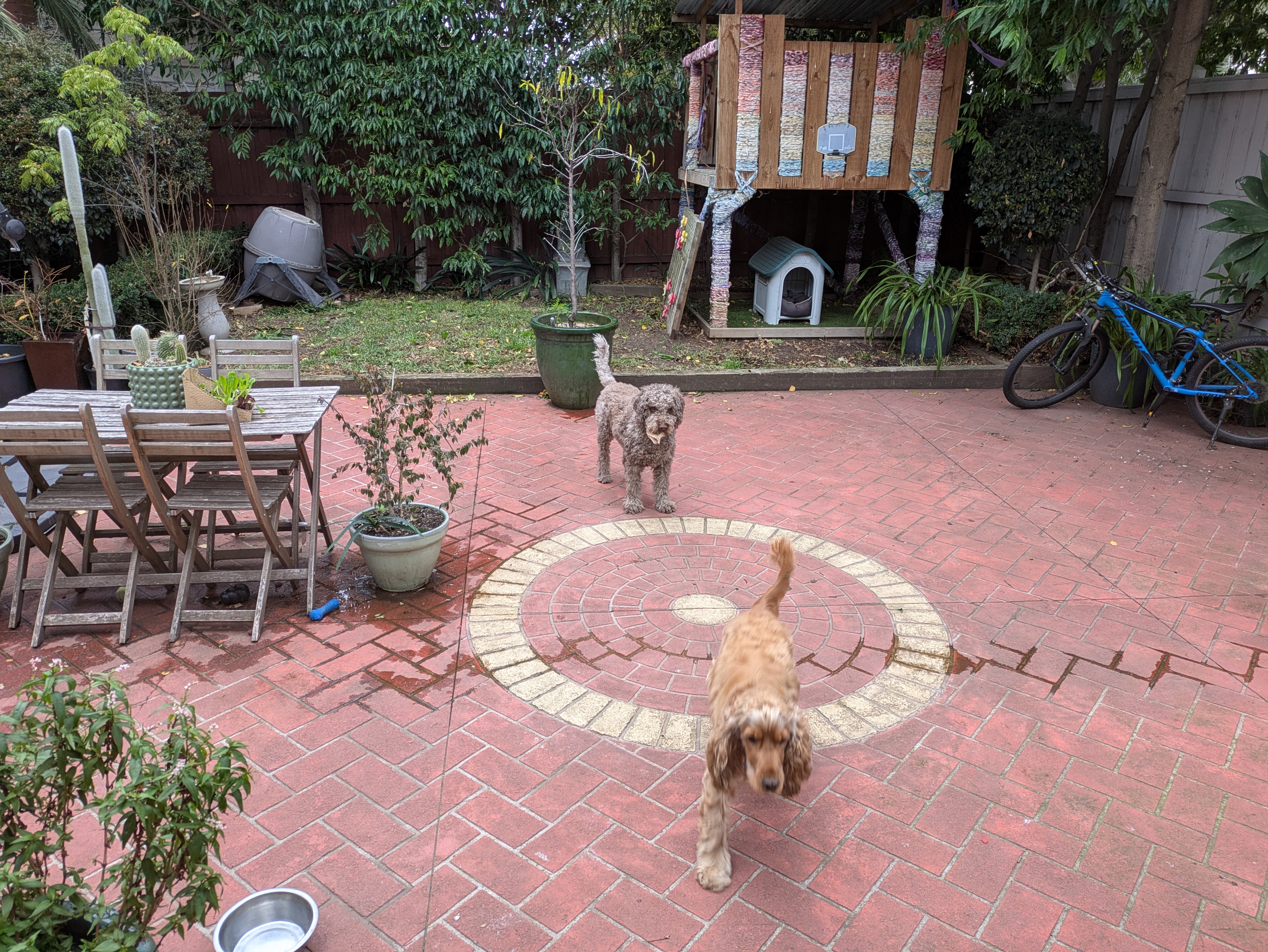 image-17