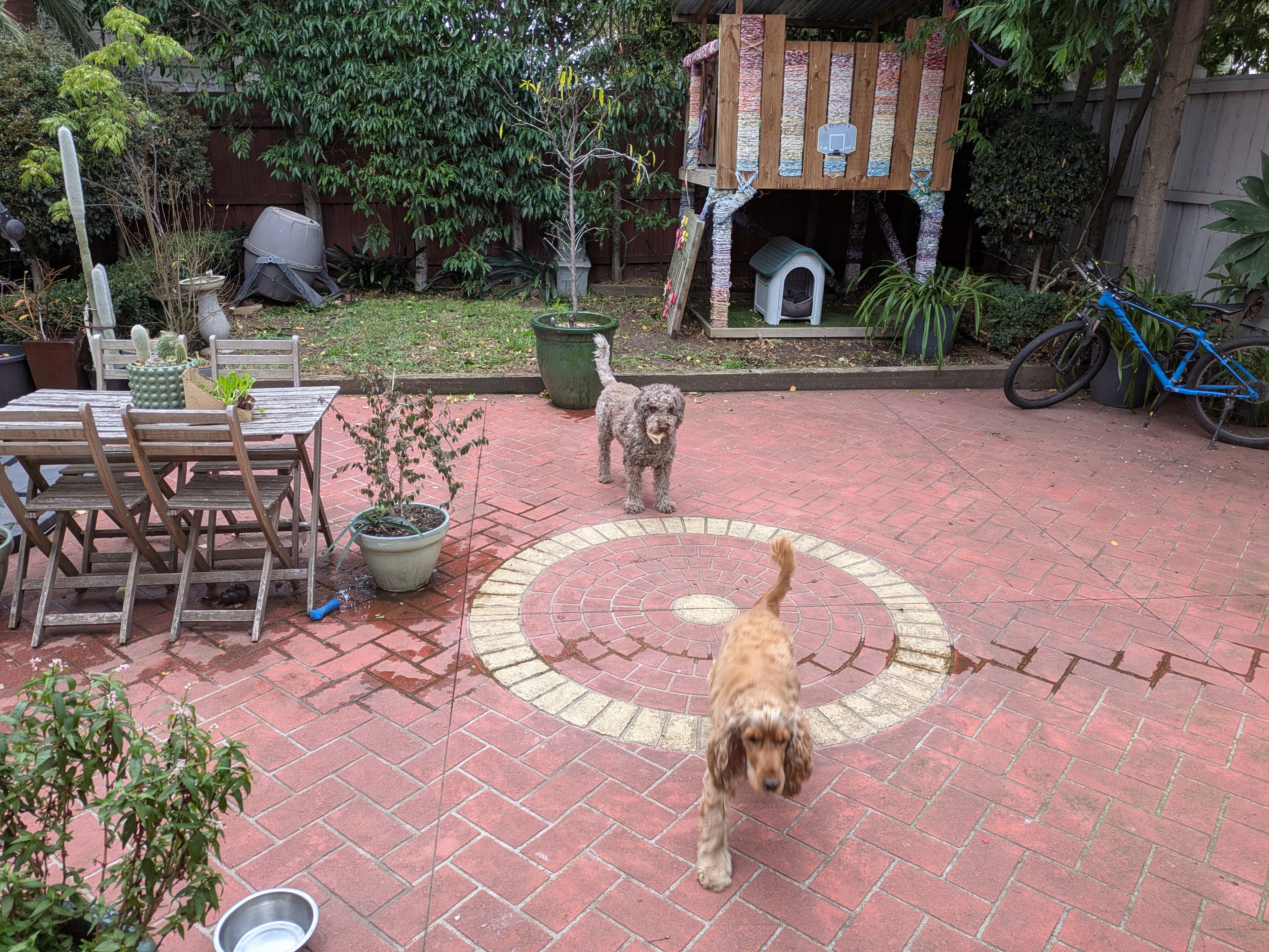 image-17