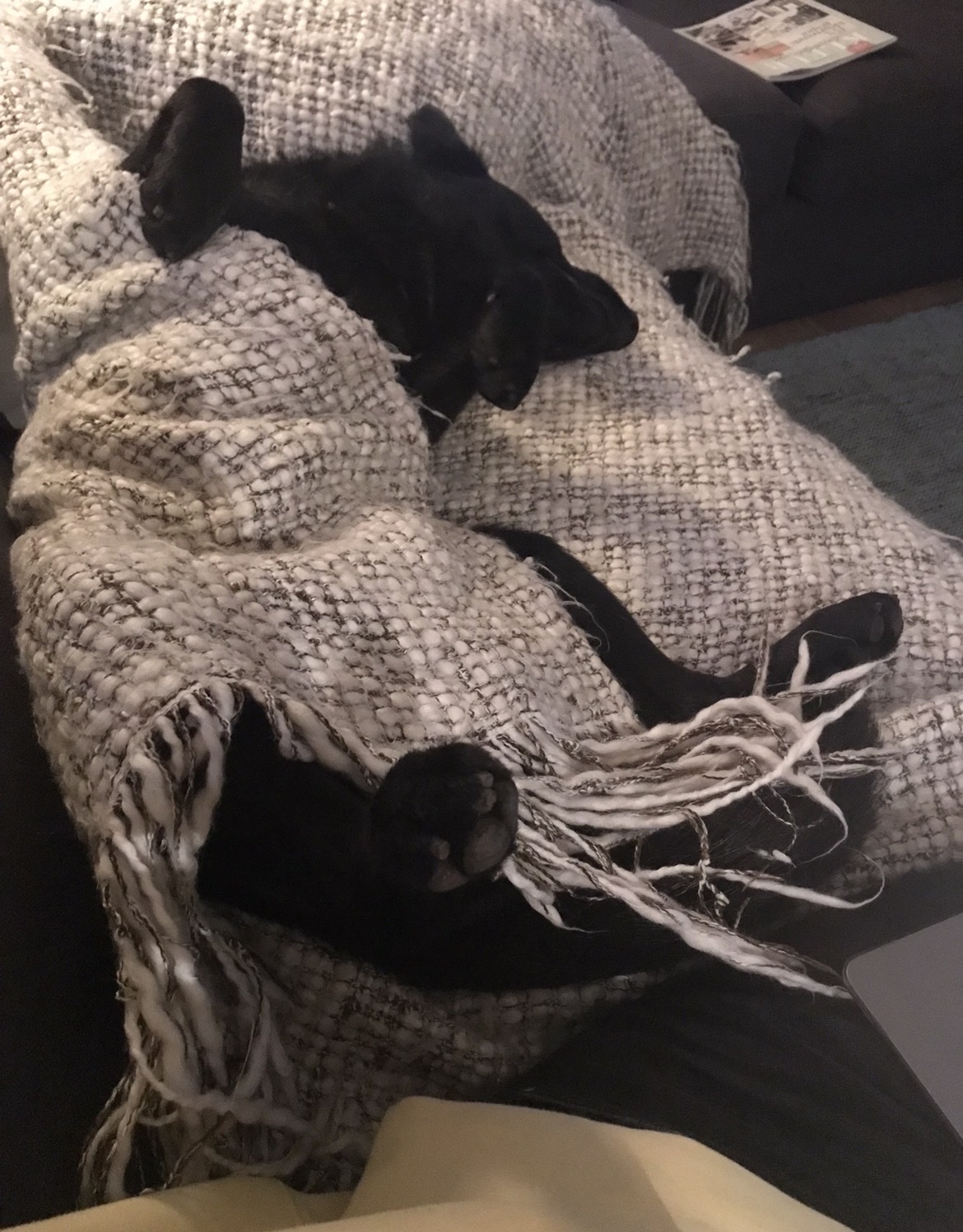 image-12