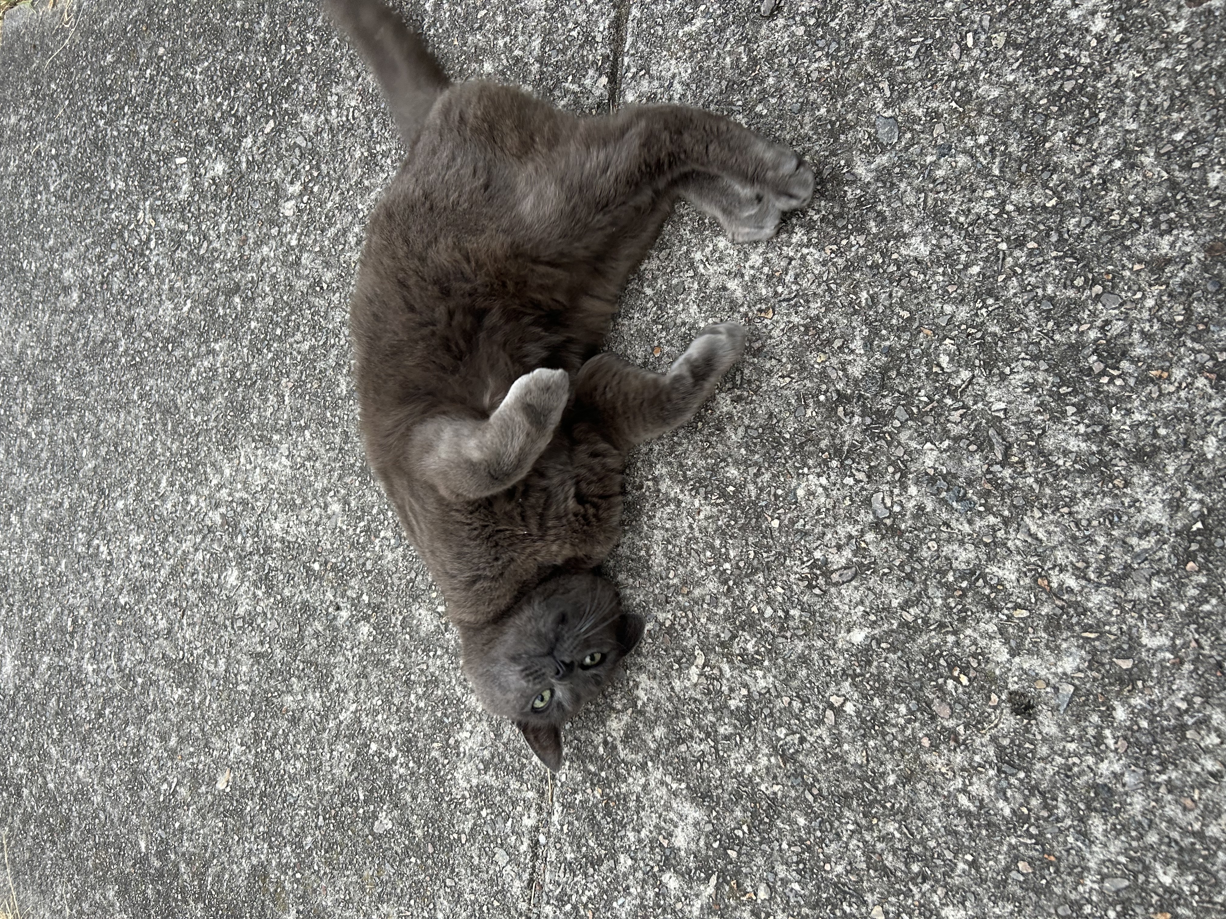 image-7