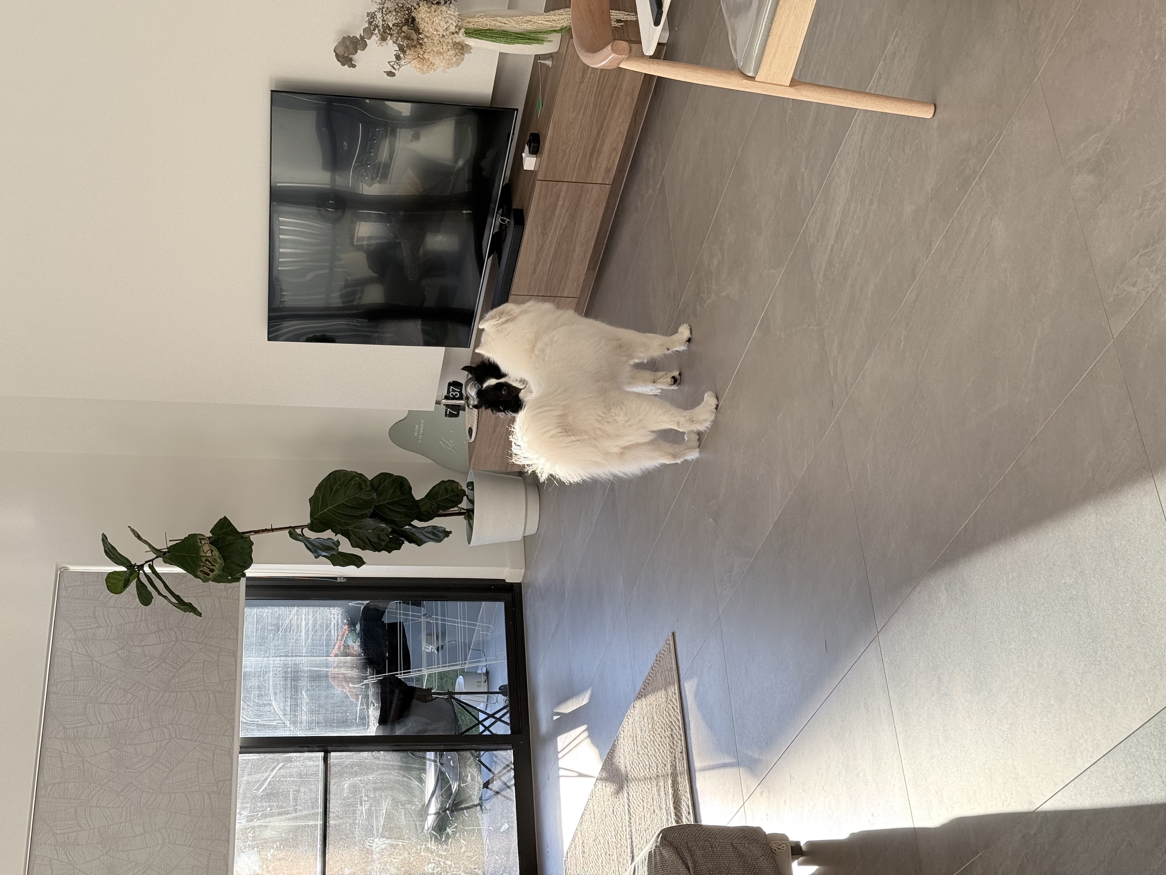 image-17
