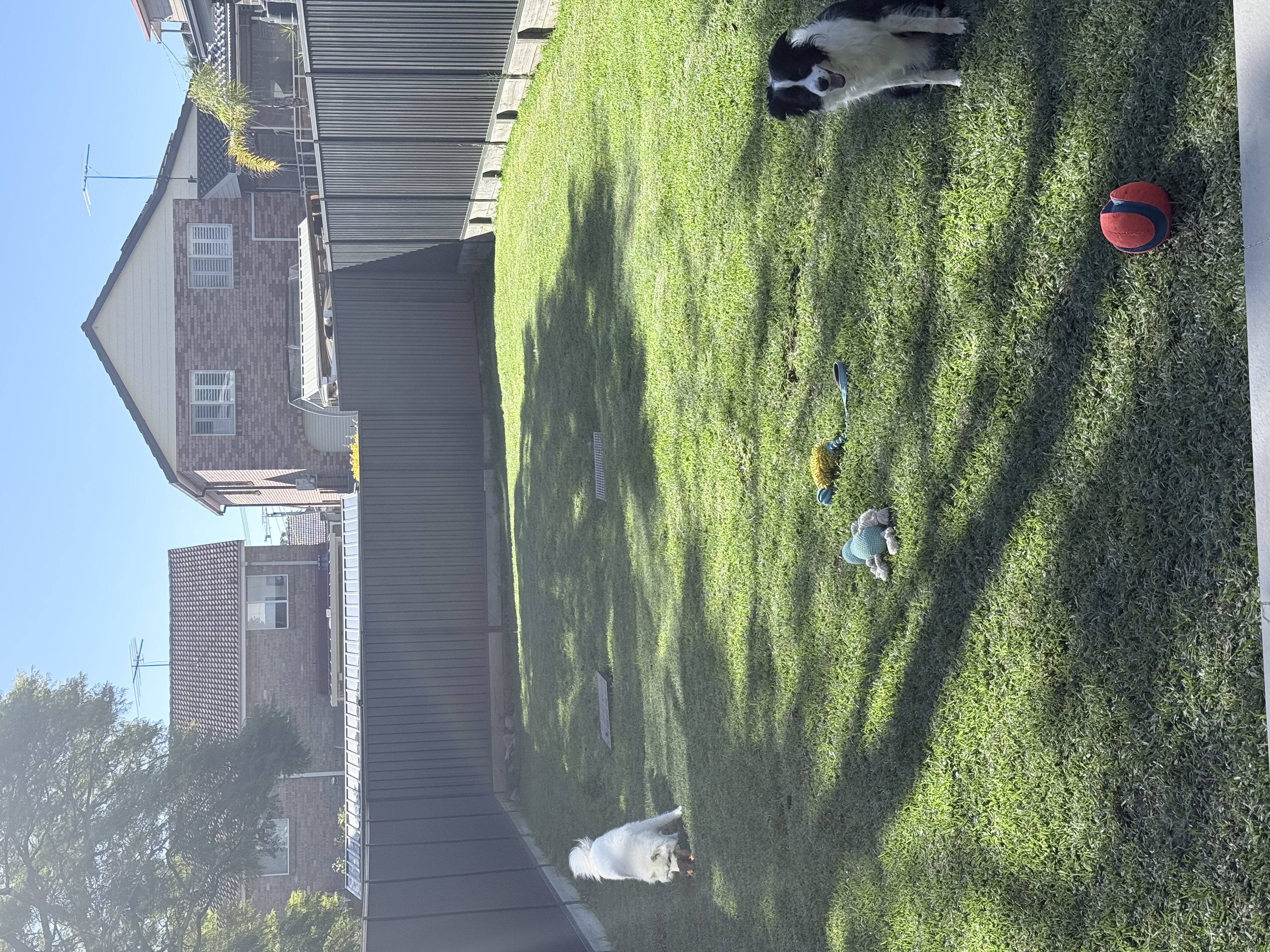 image-13