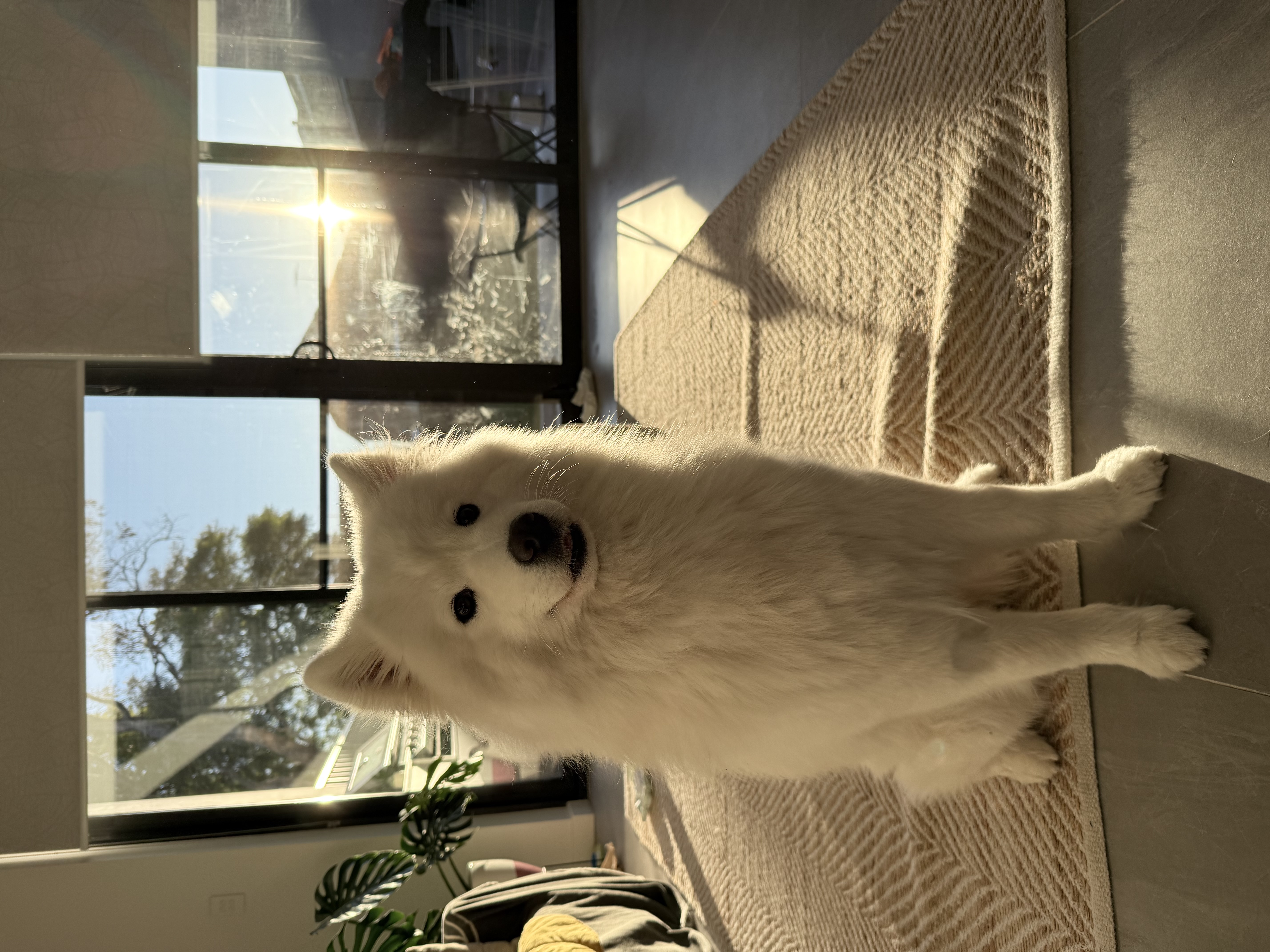 image-16