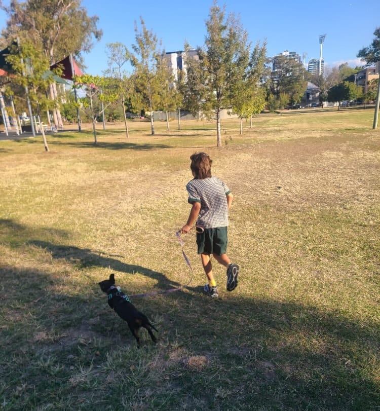 image-7