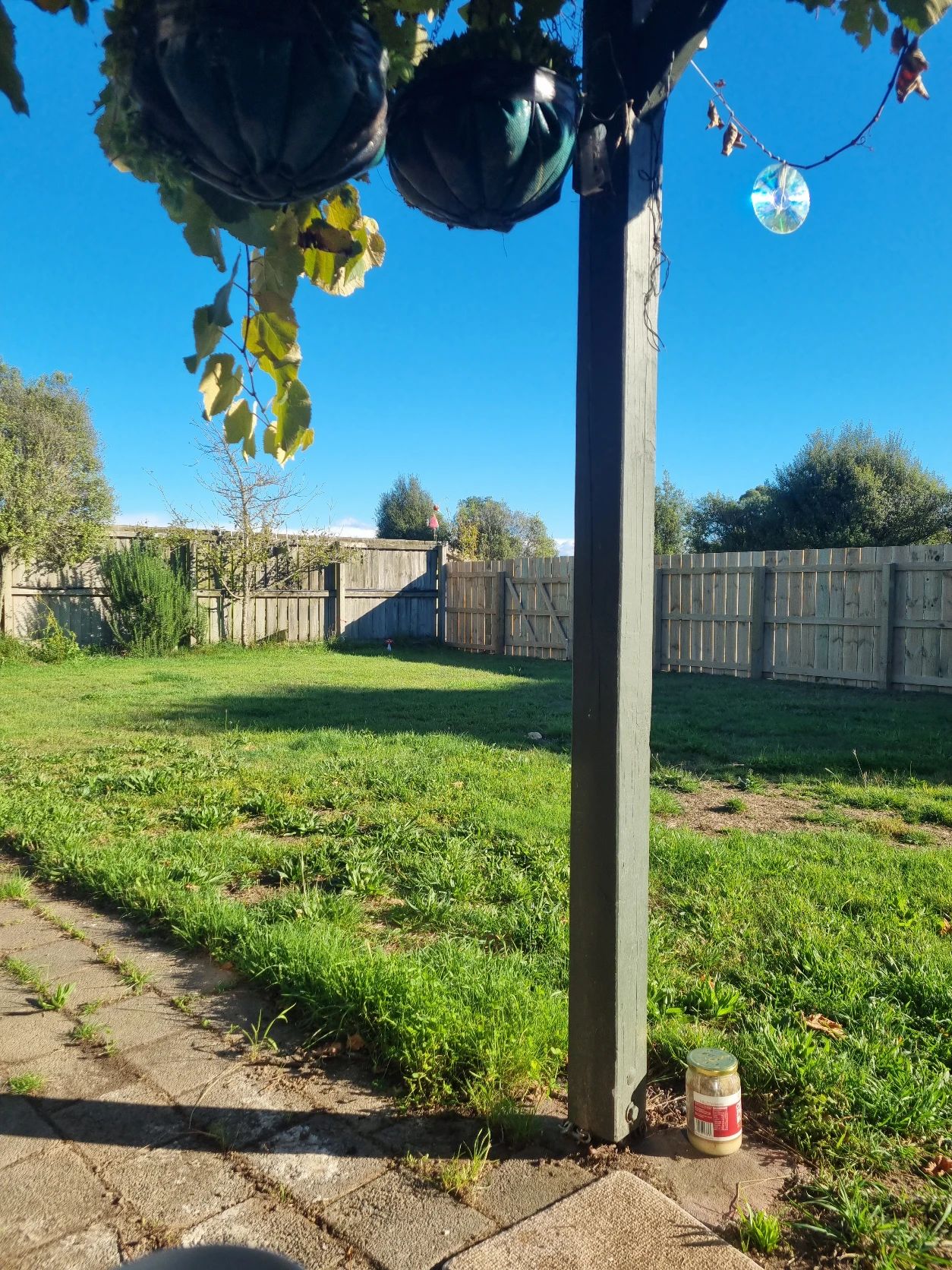 image-6