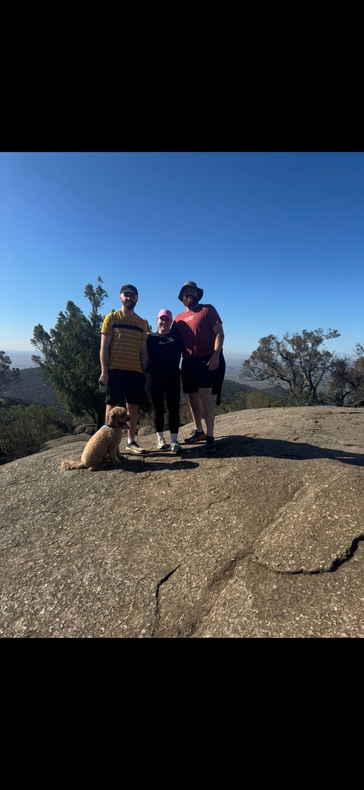 image-6