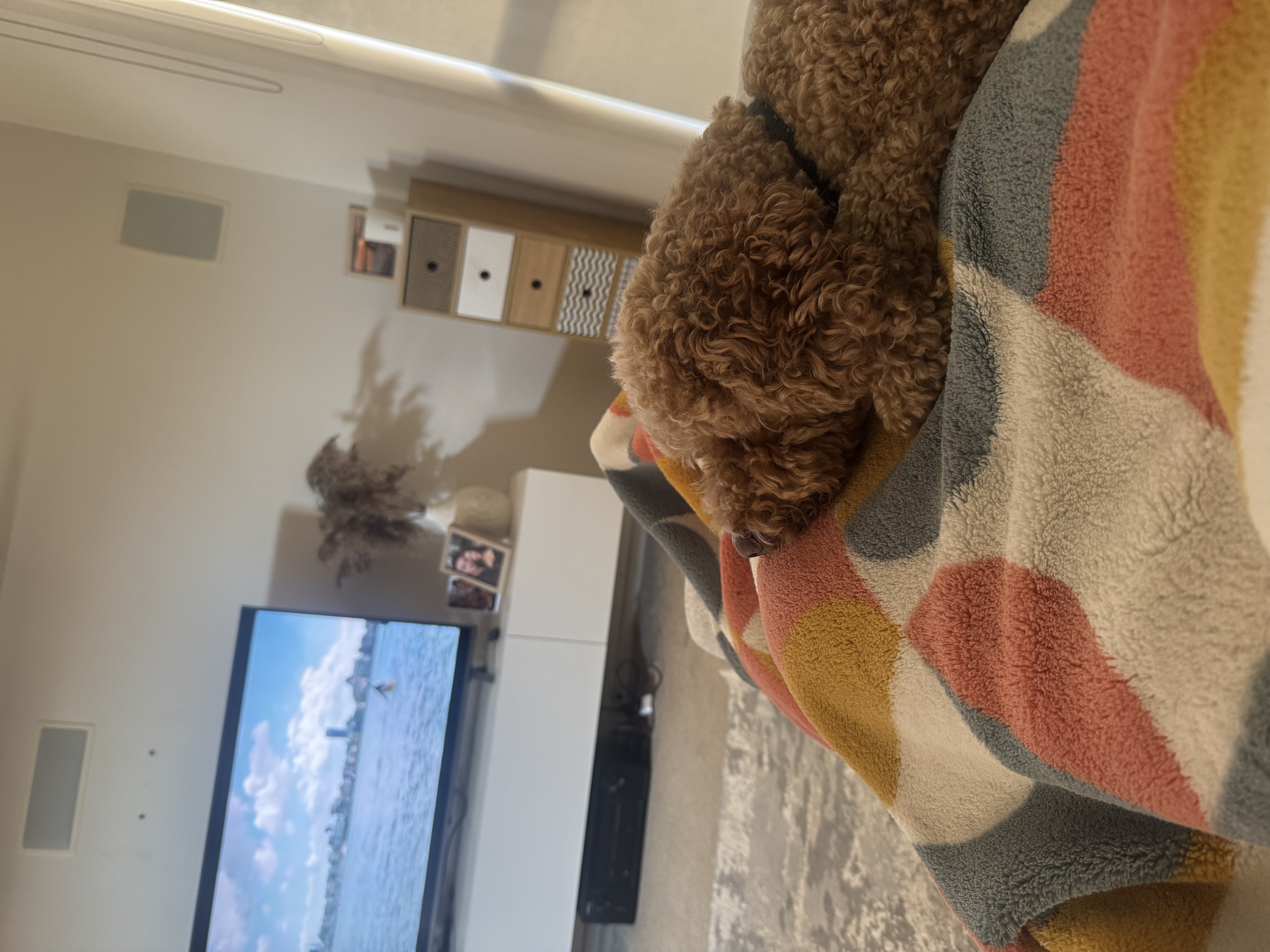 image-9