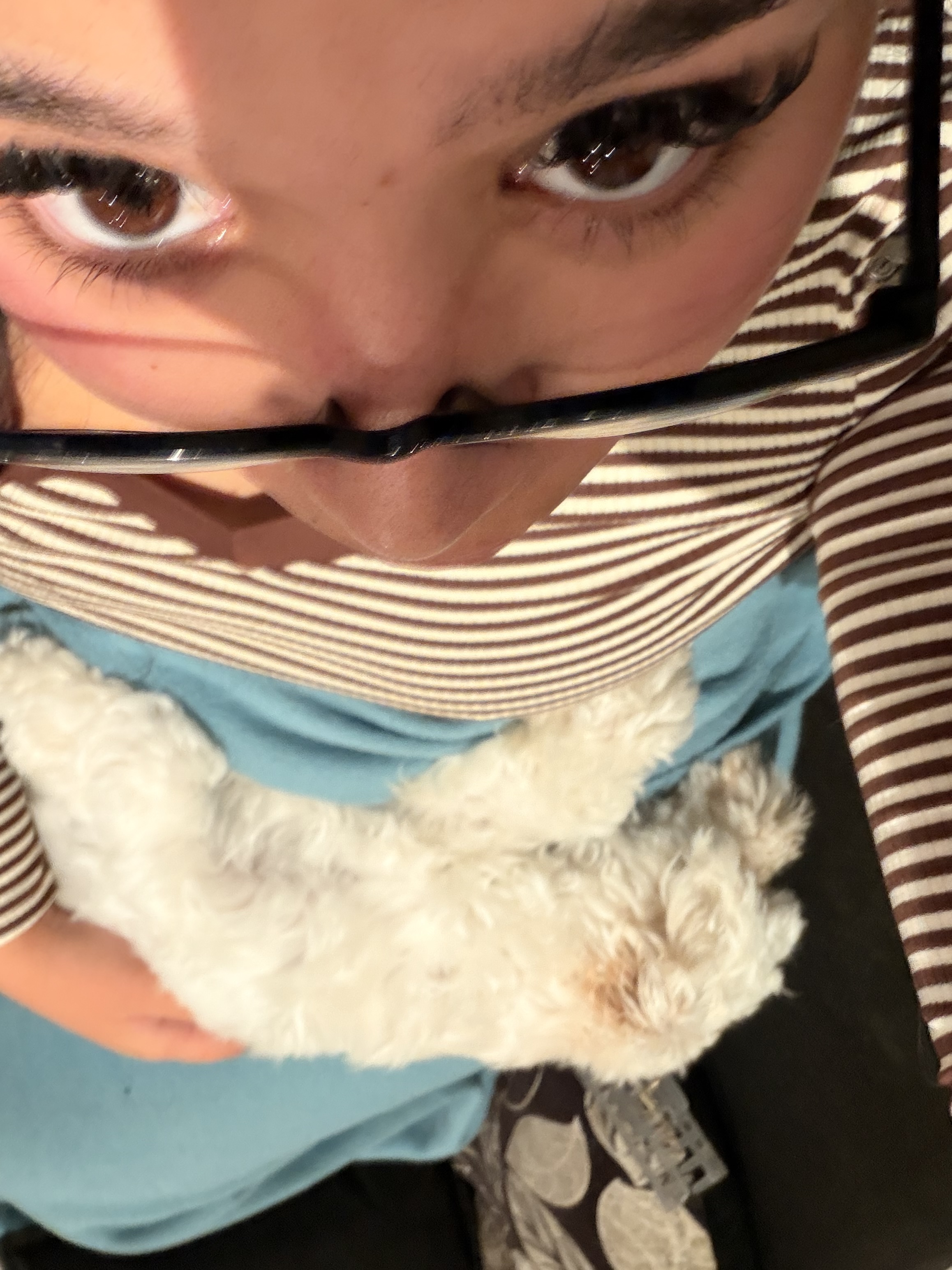 image-6