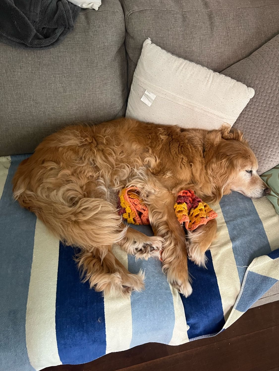 image-6