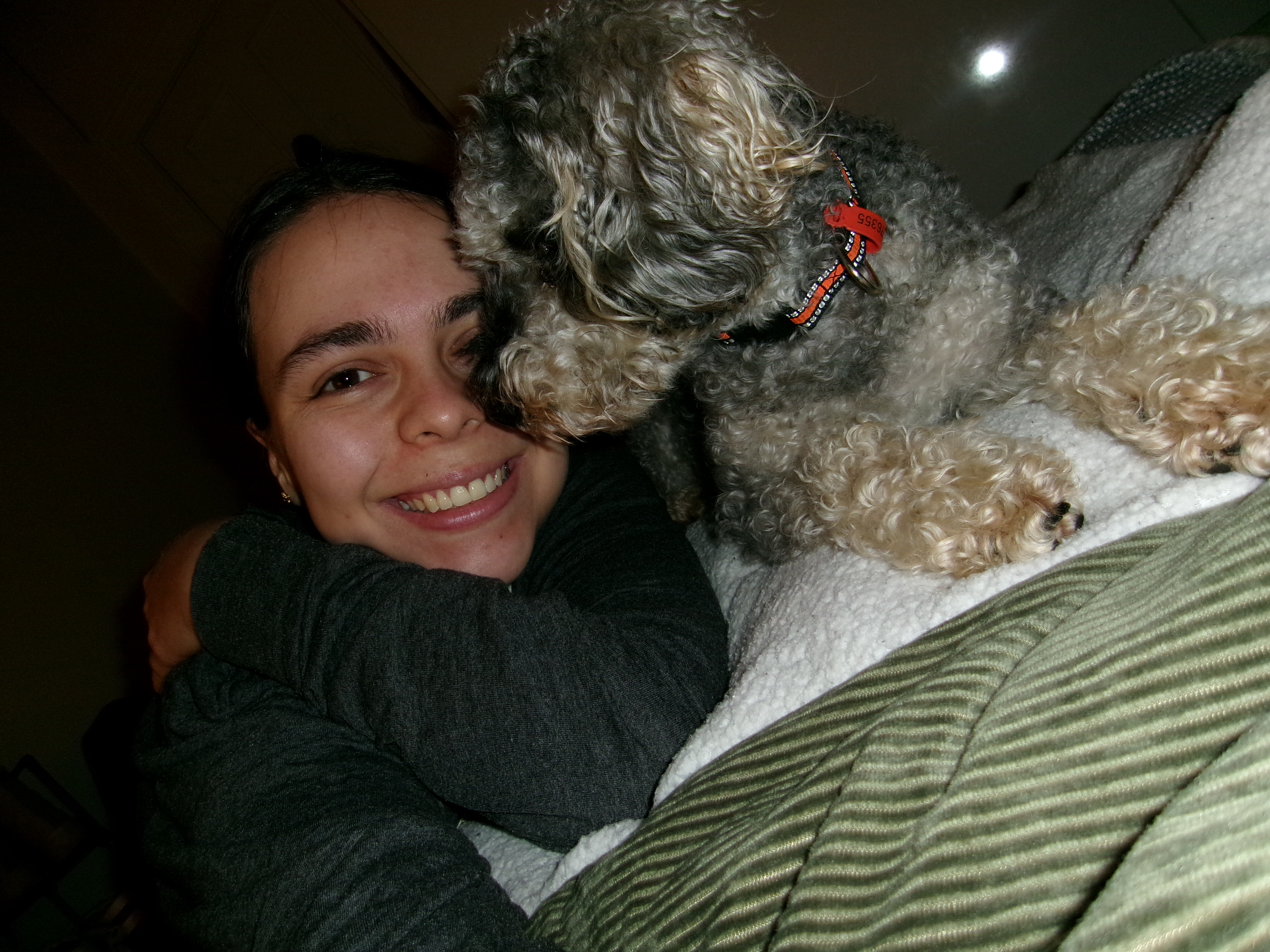 image-7