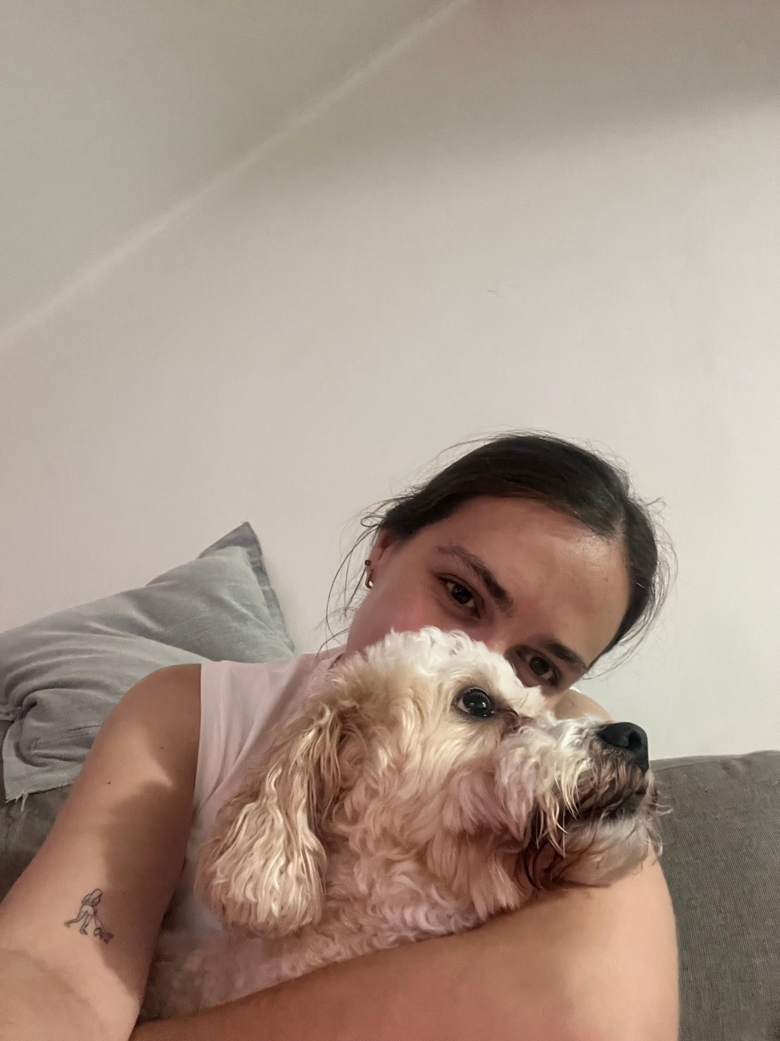 image-8