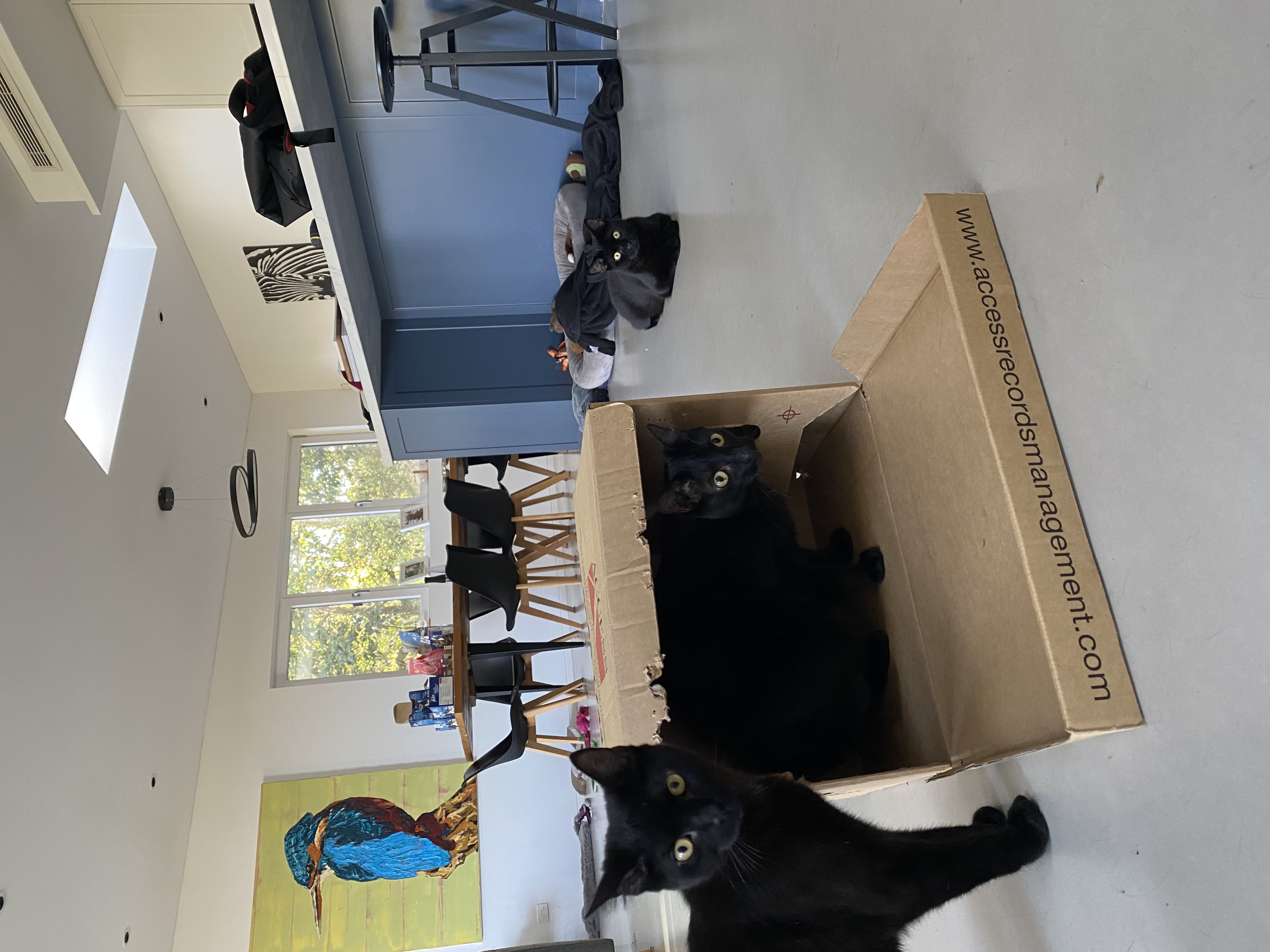 image-8