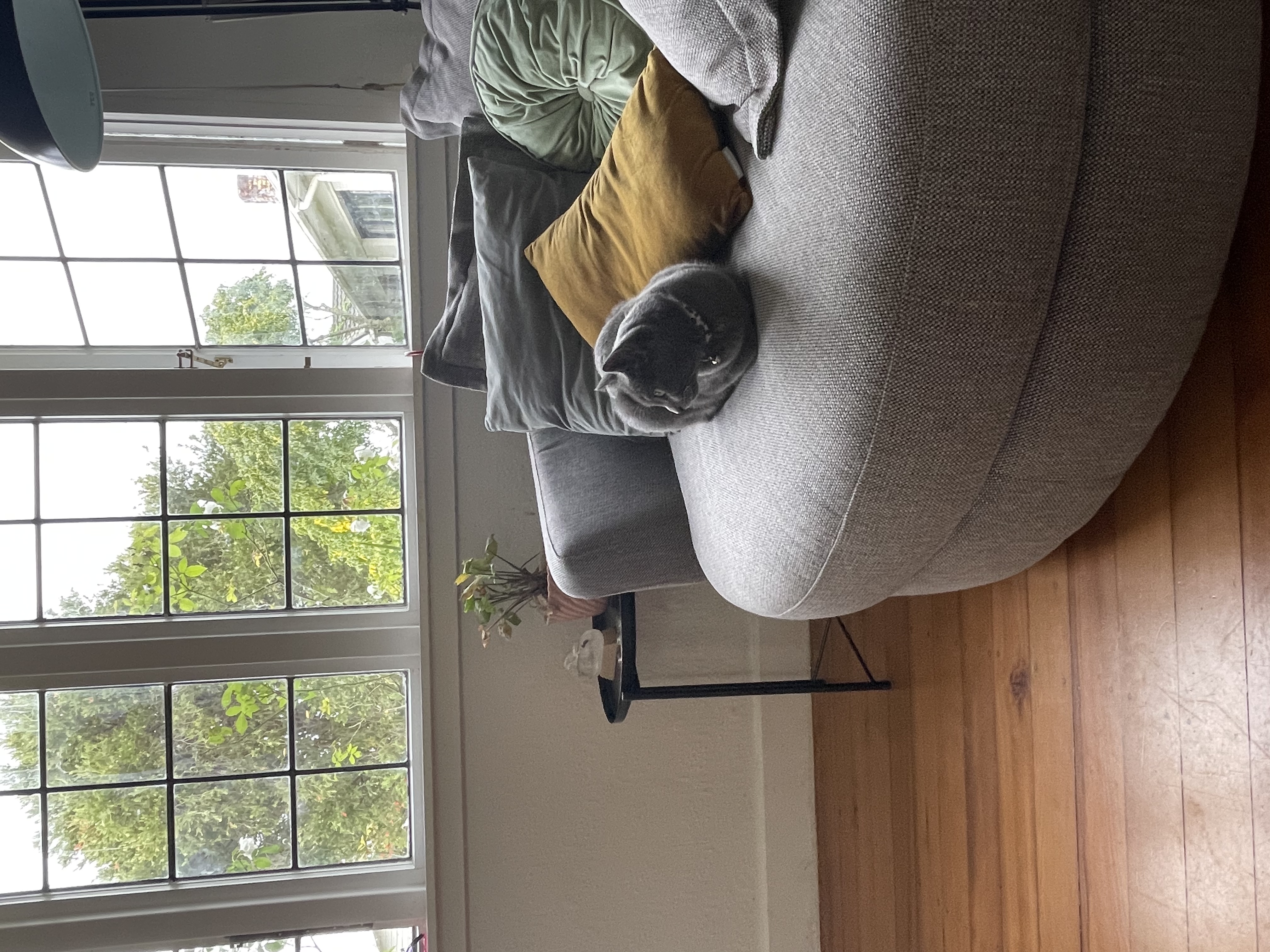 image-17