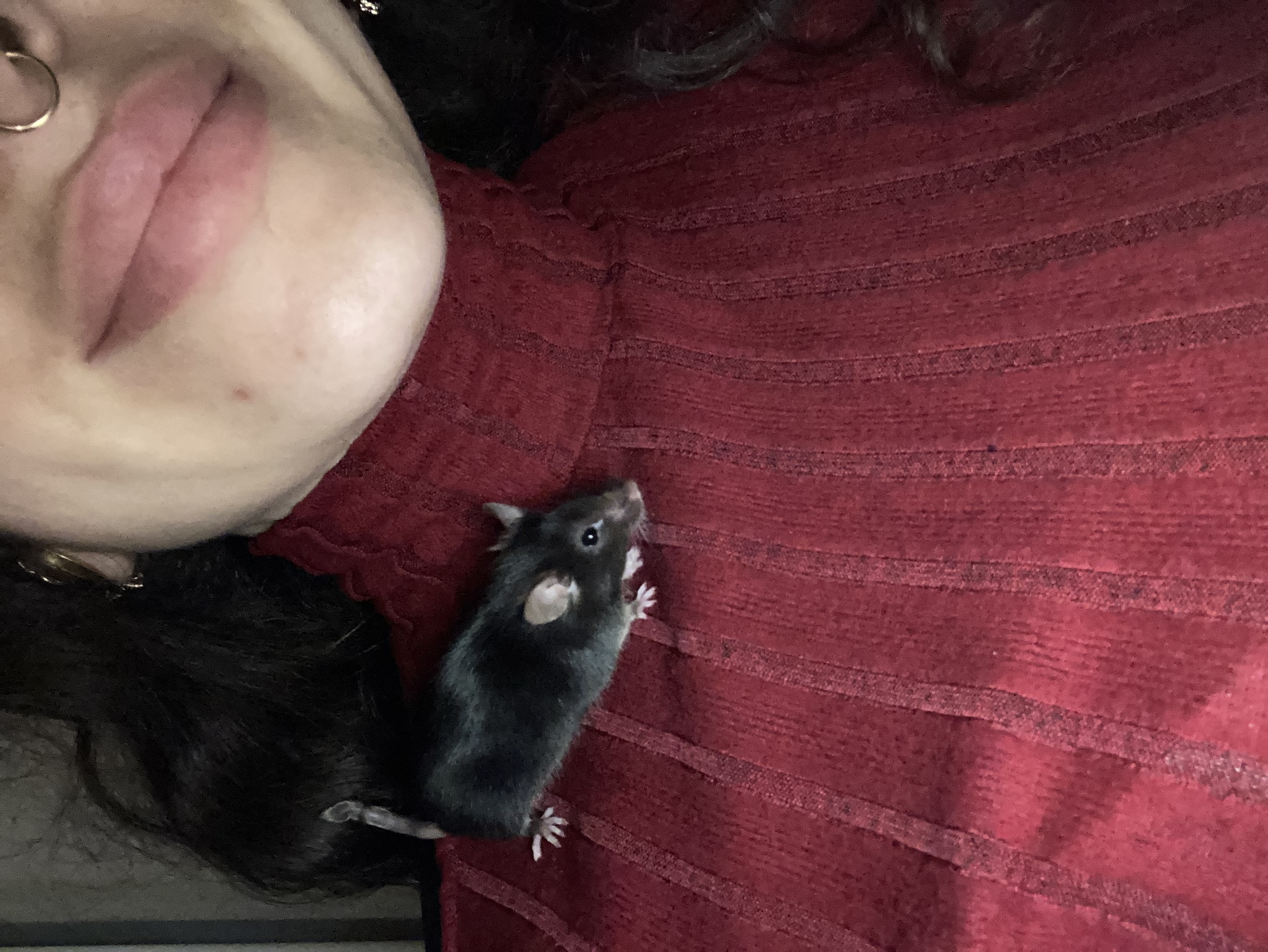 image-7