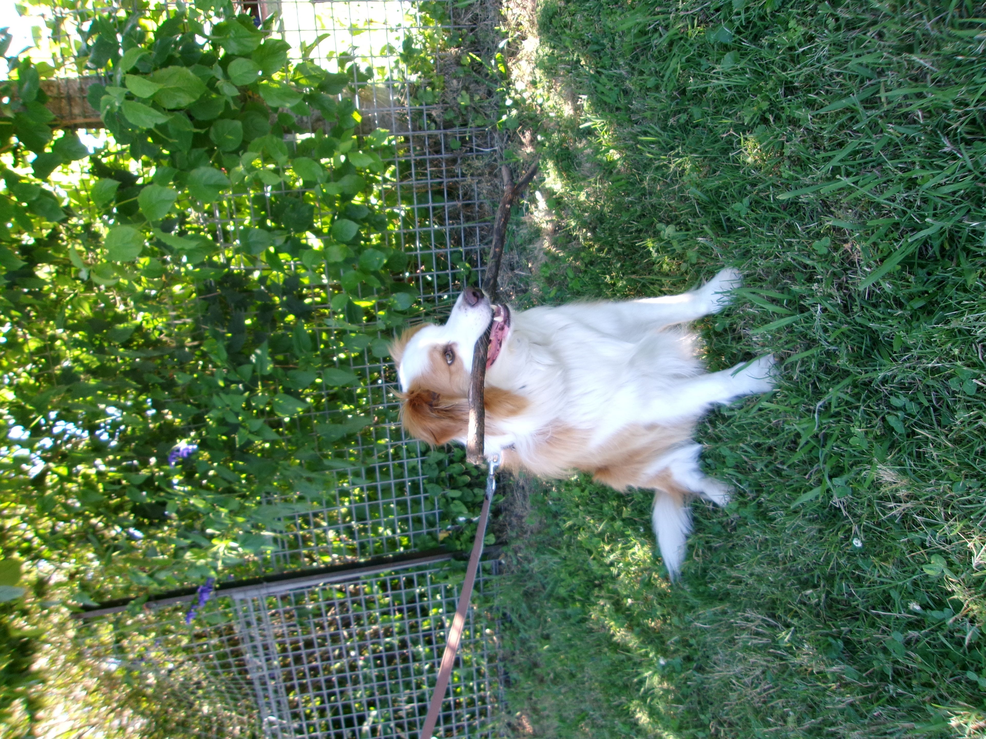 image-5