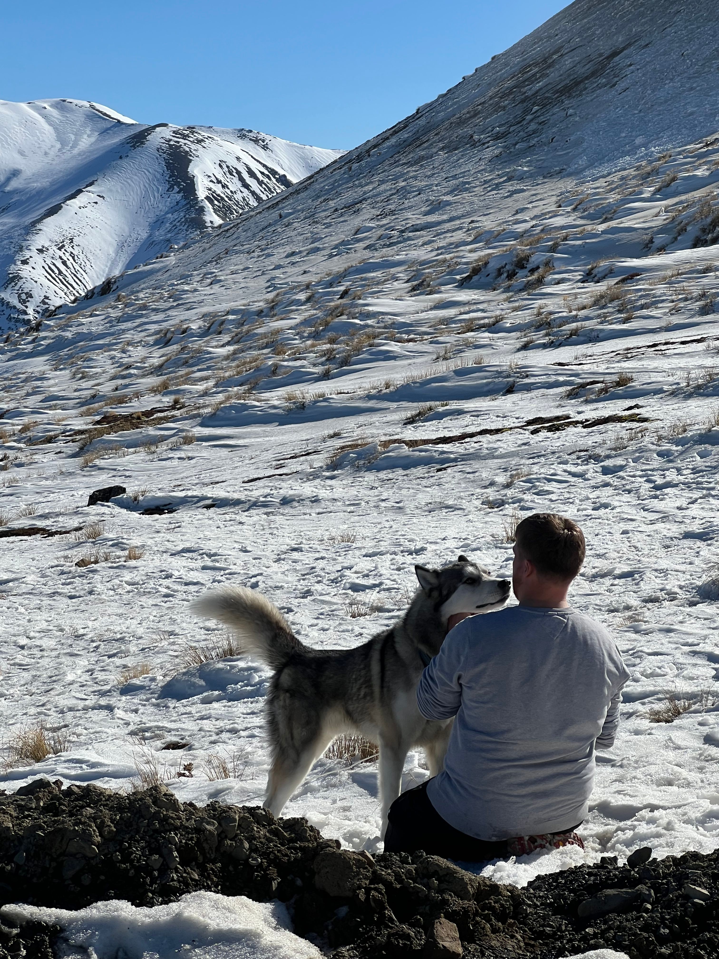 image-6