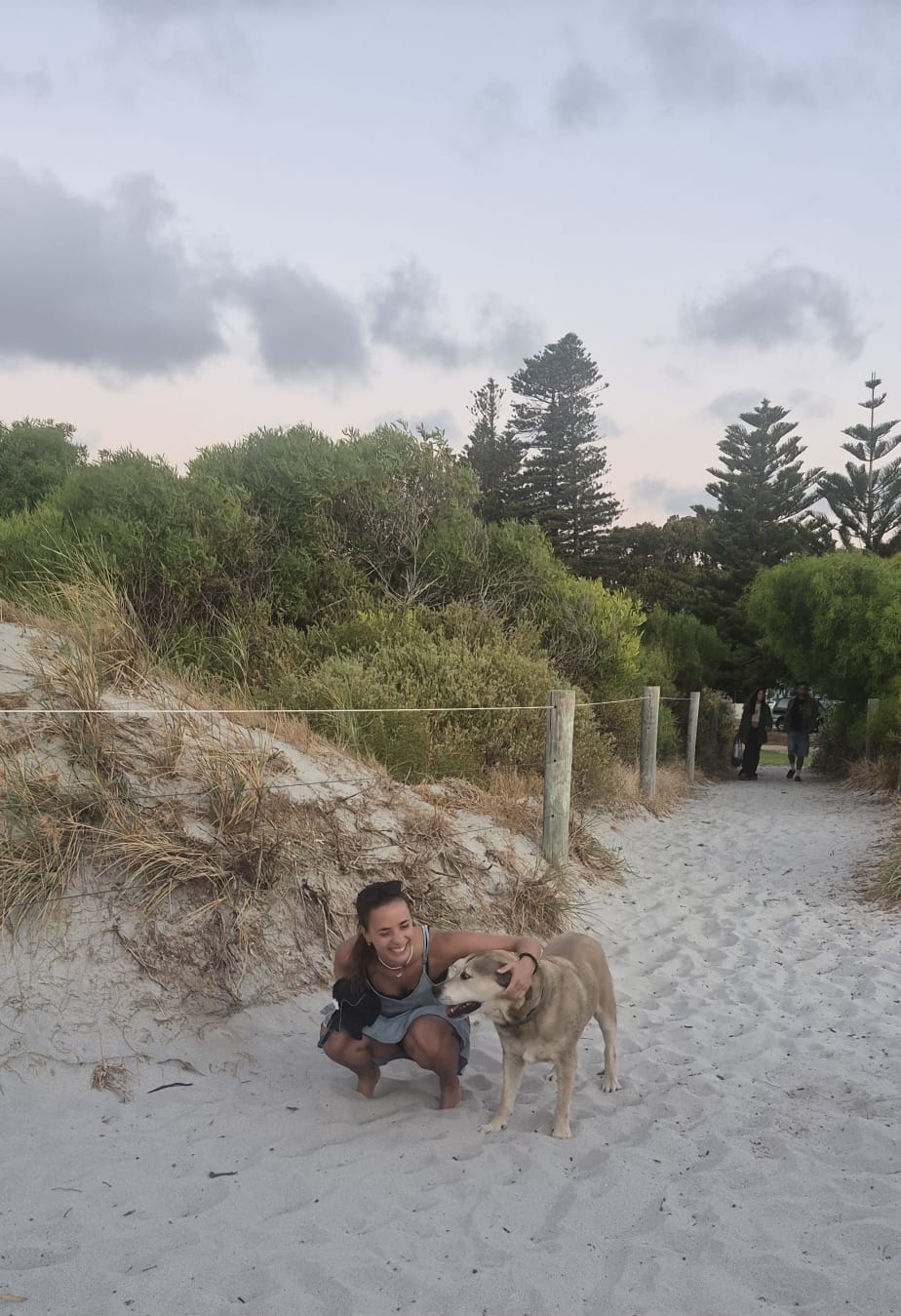 image-7