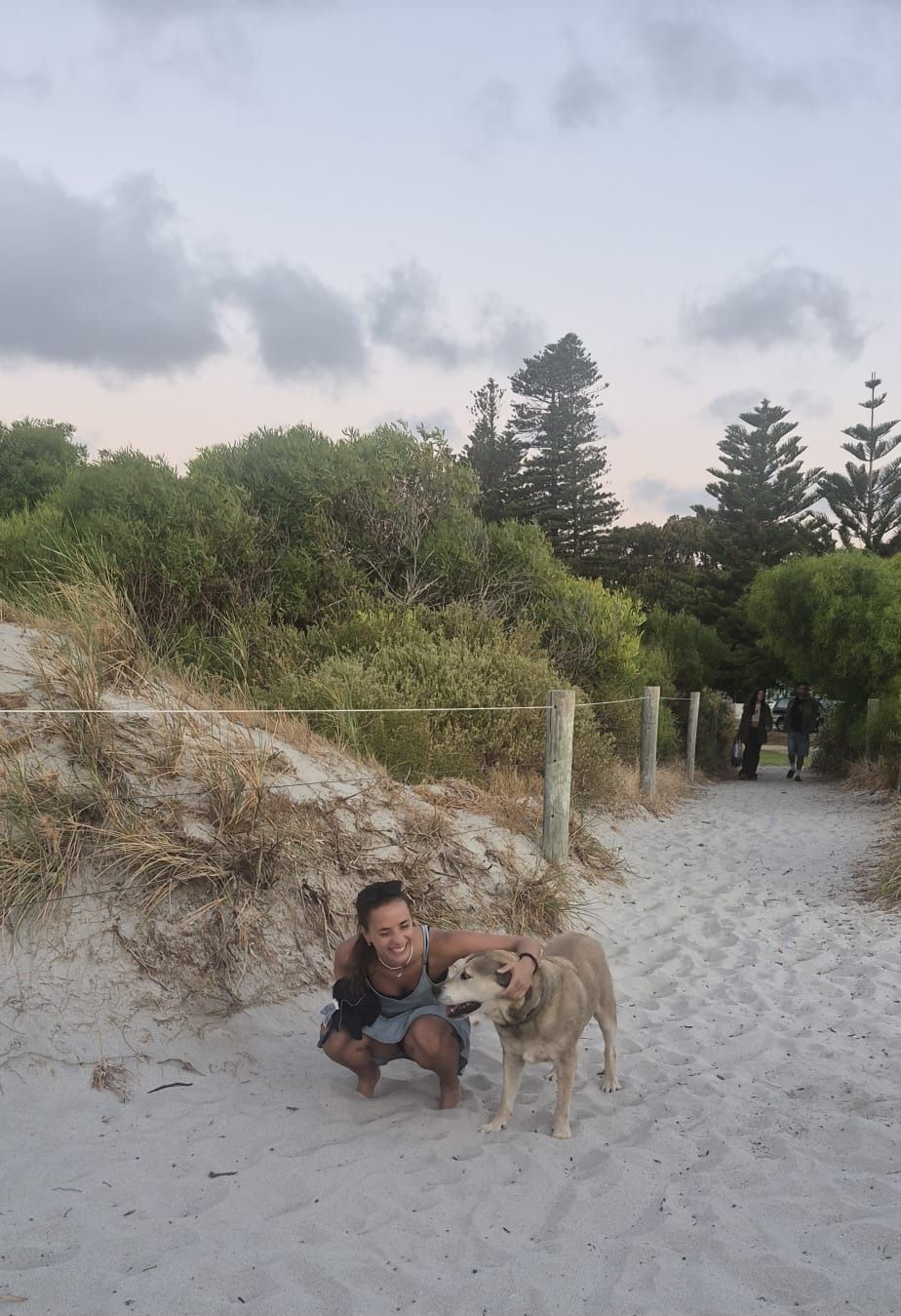 image-7