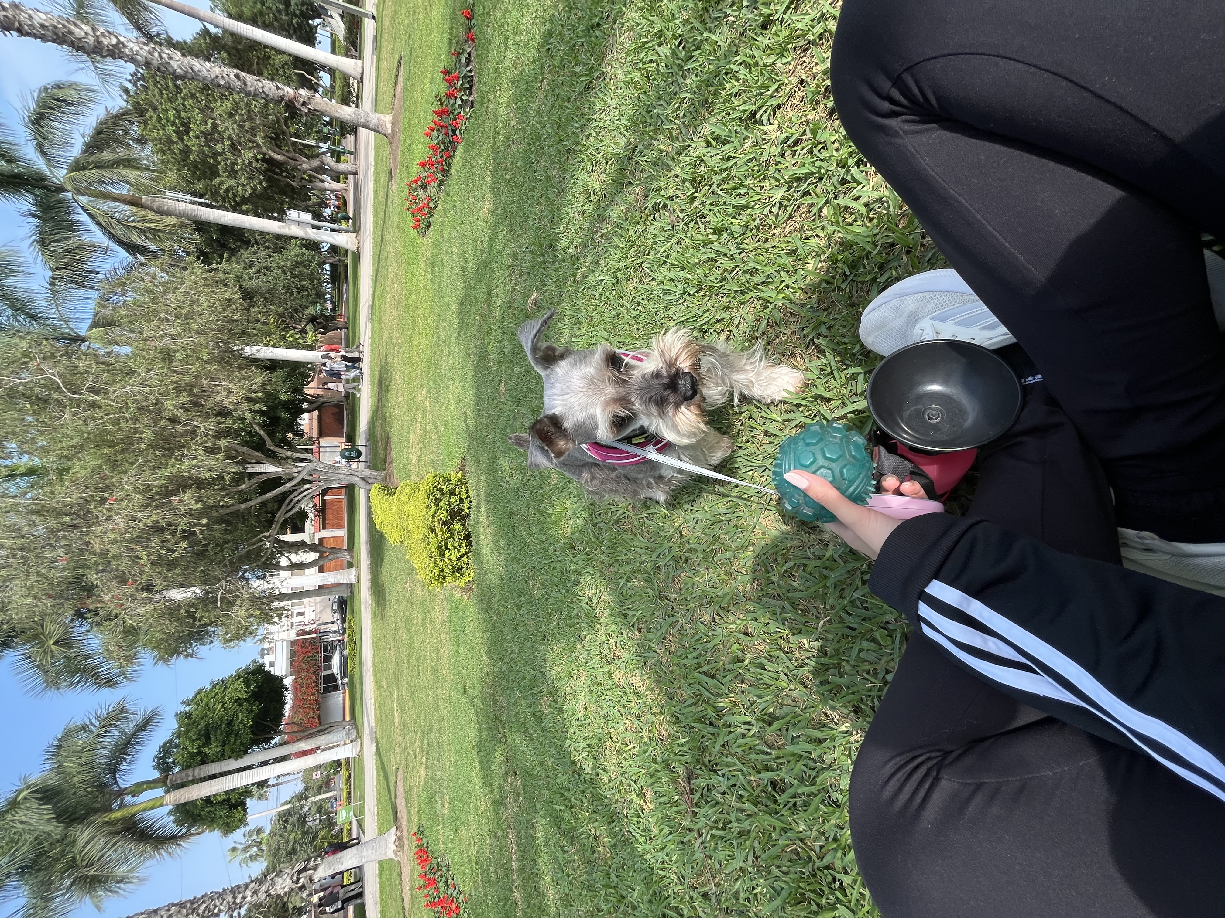 image-7