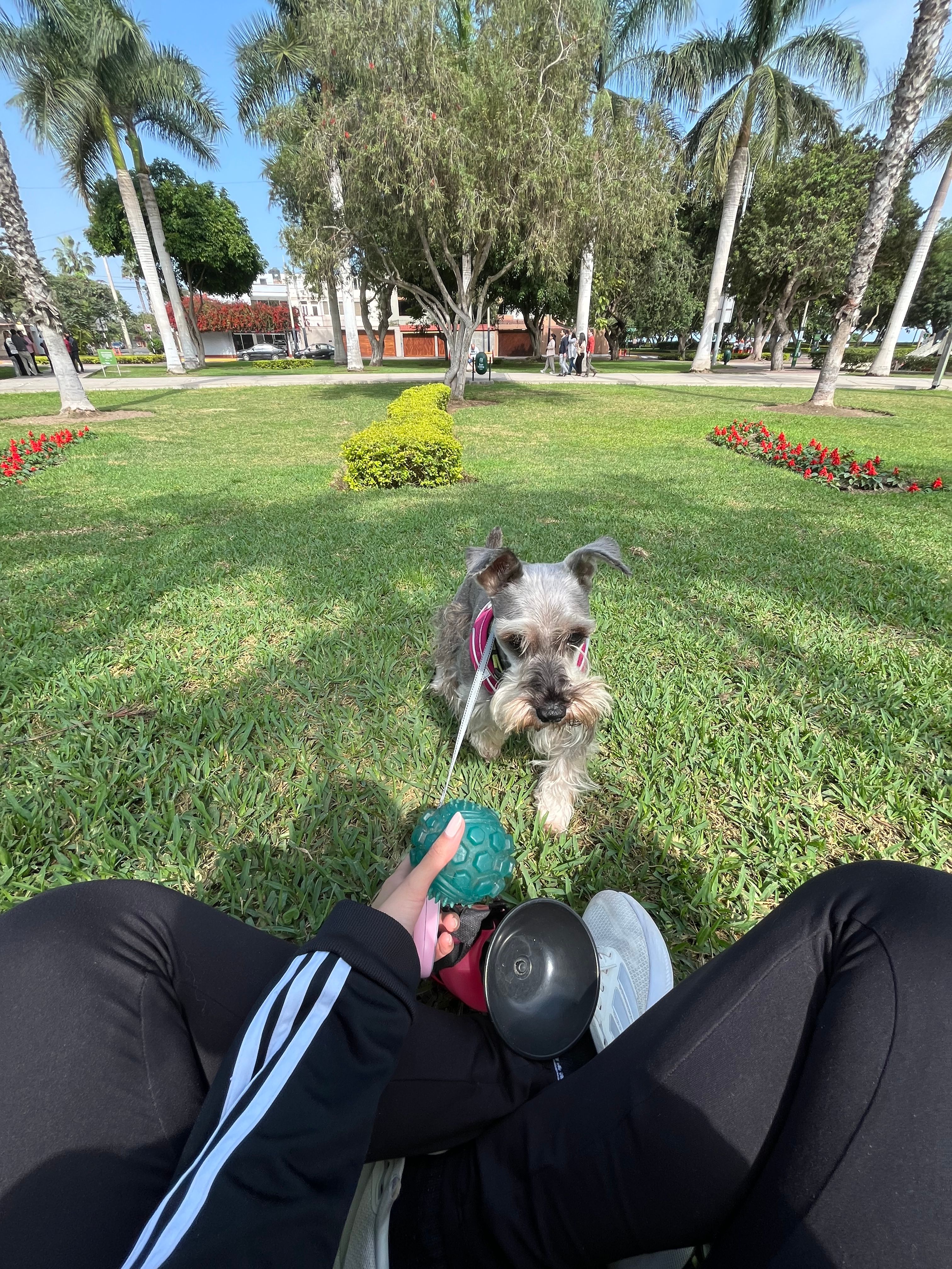 image-7