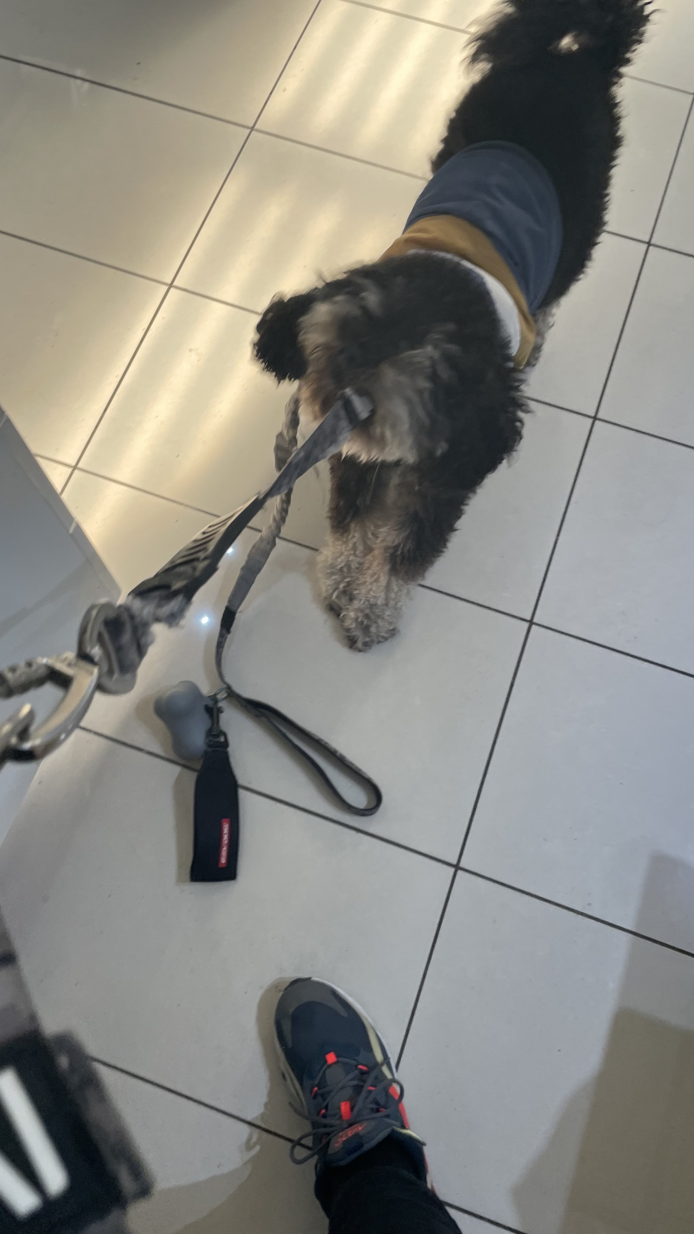 image-7