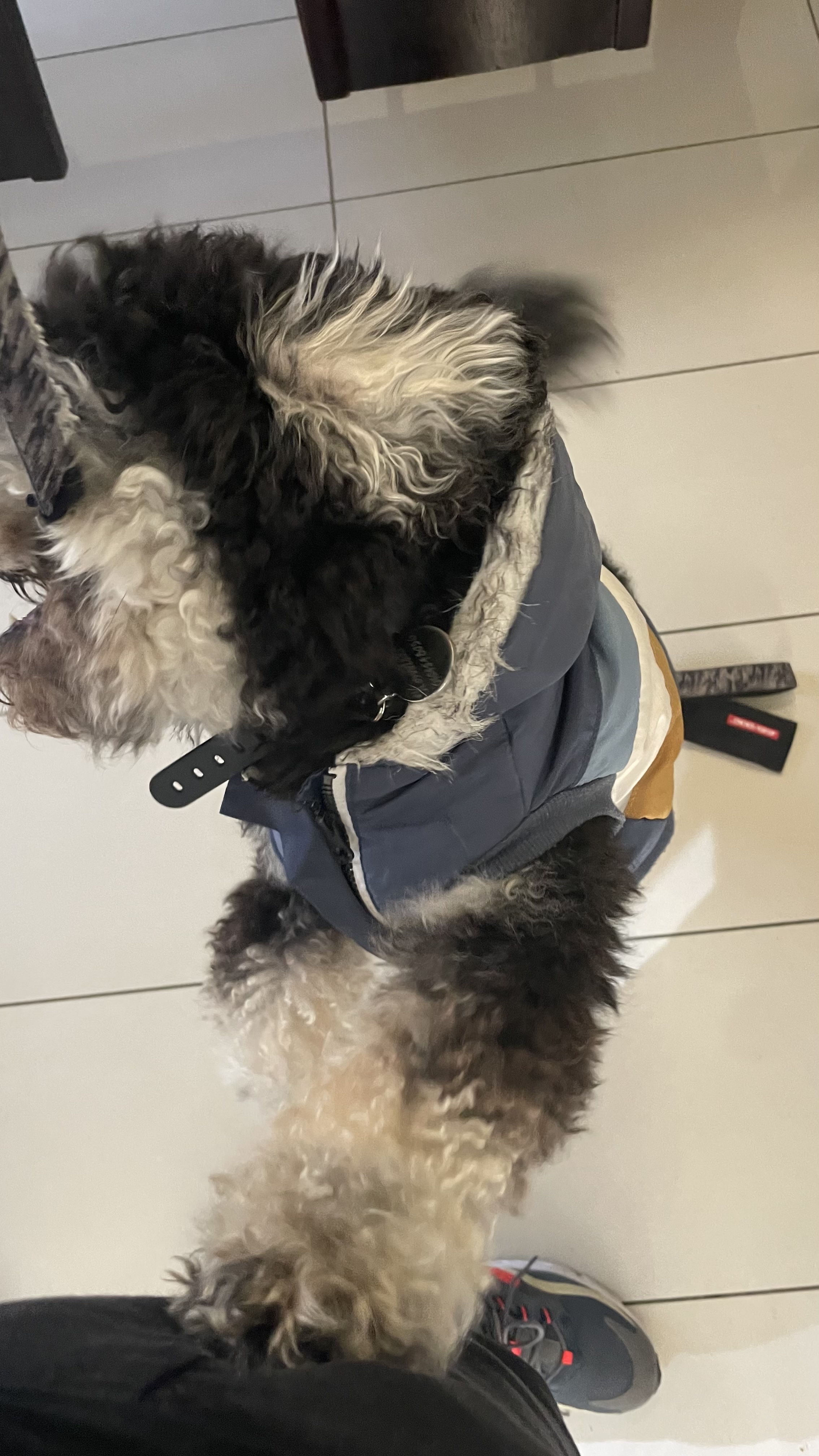 image-10