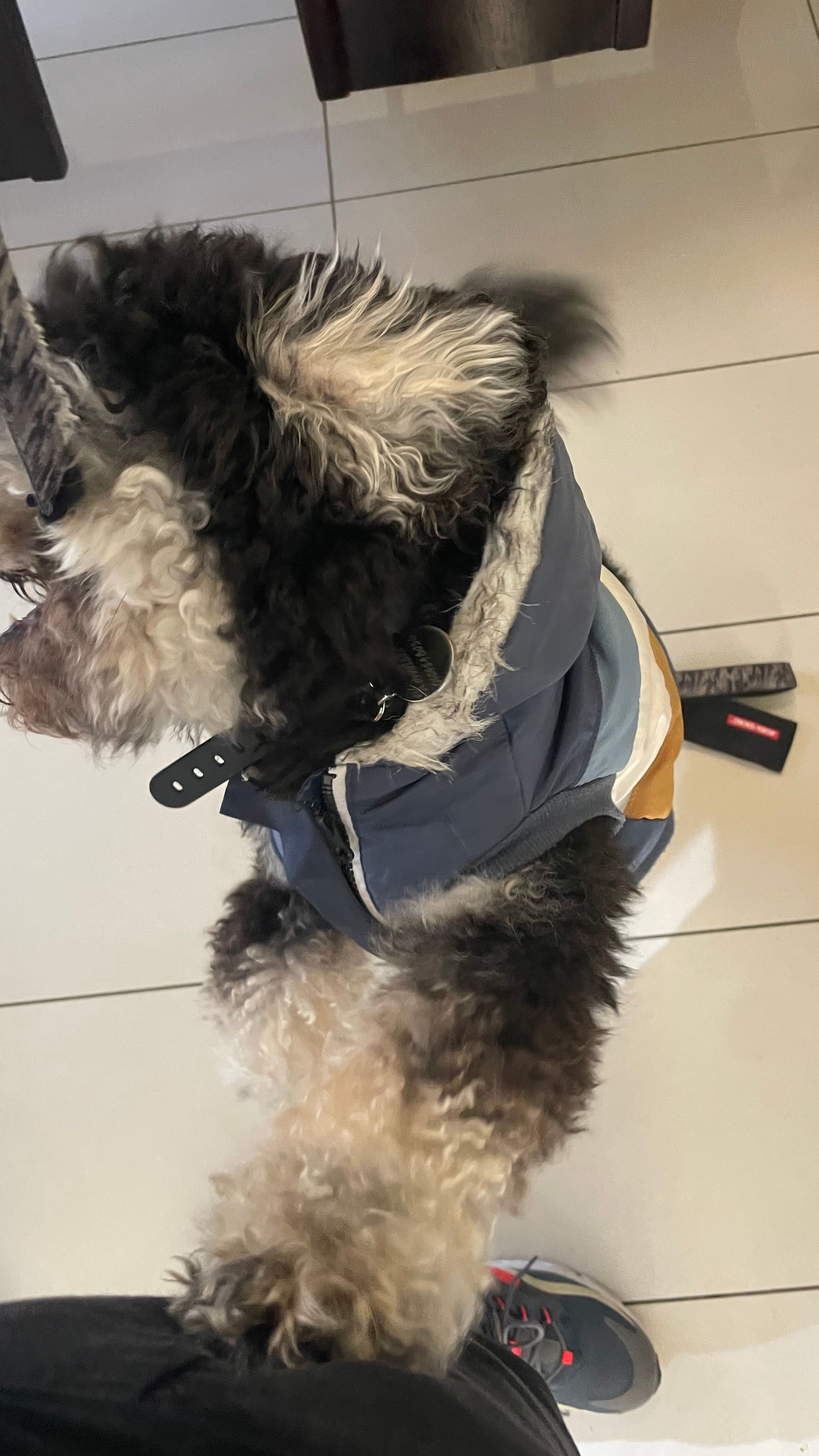 image-10