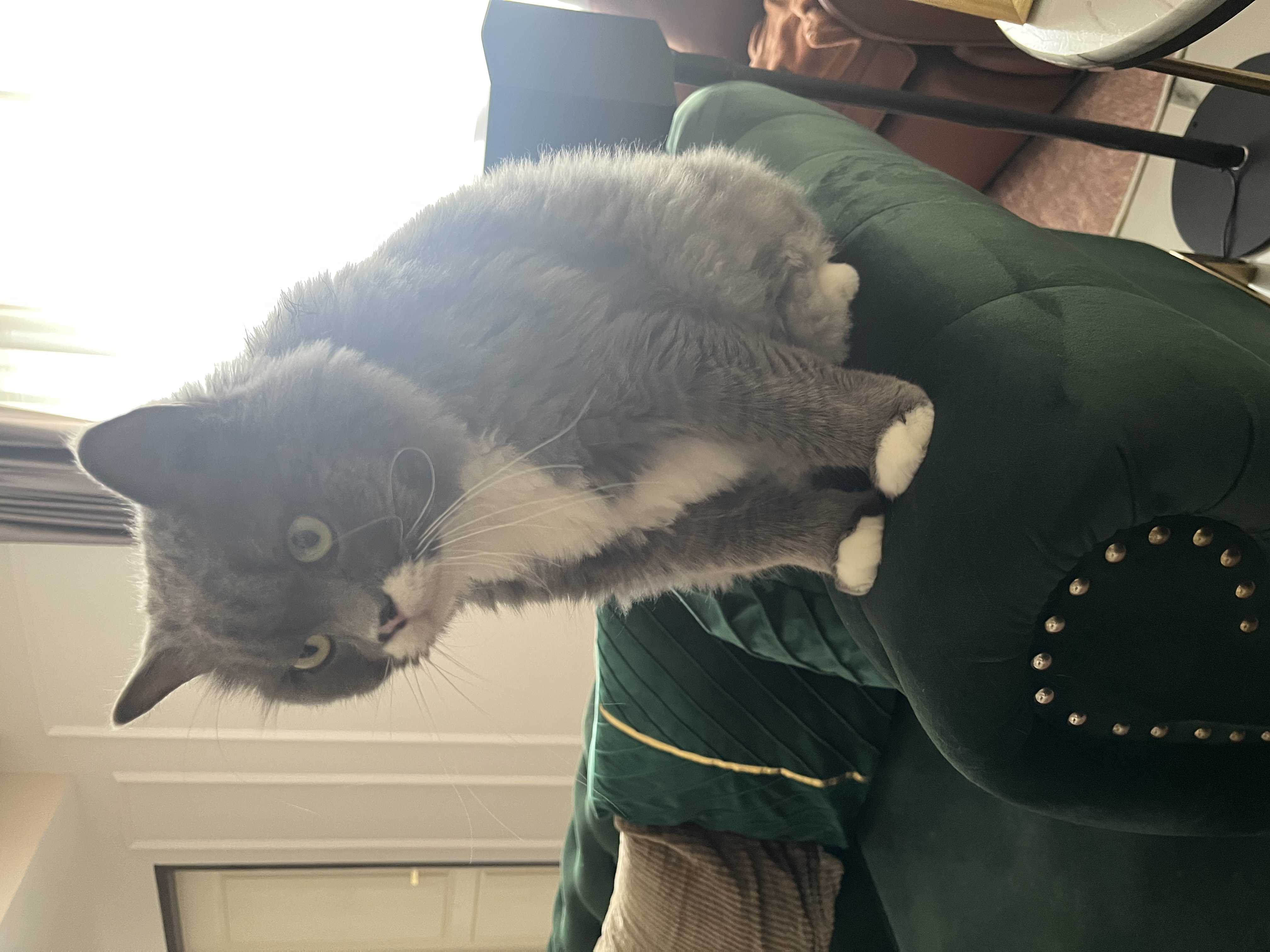 image-27