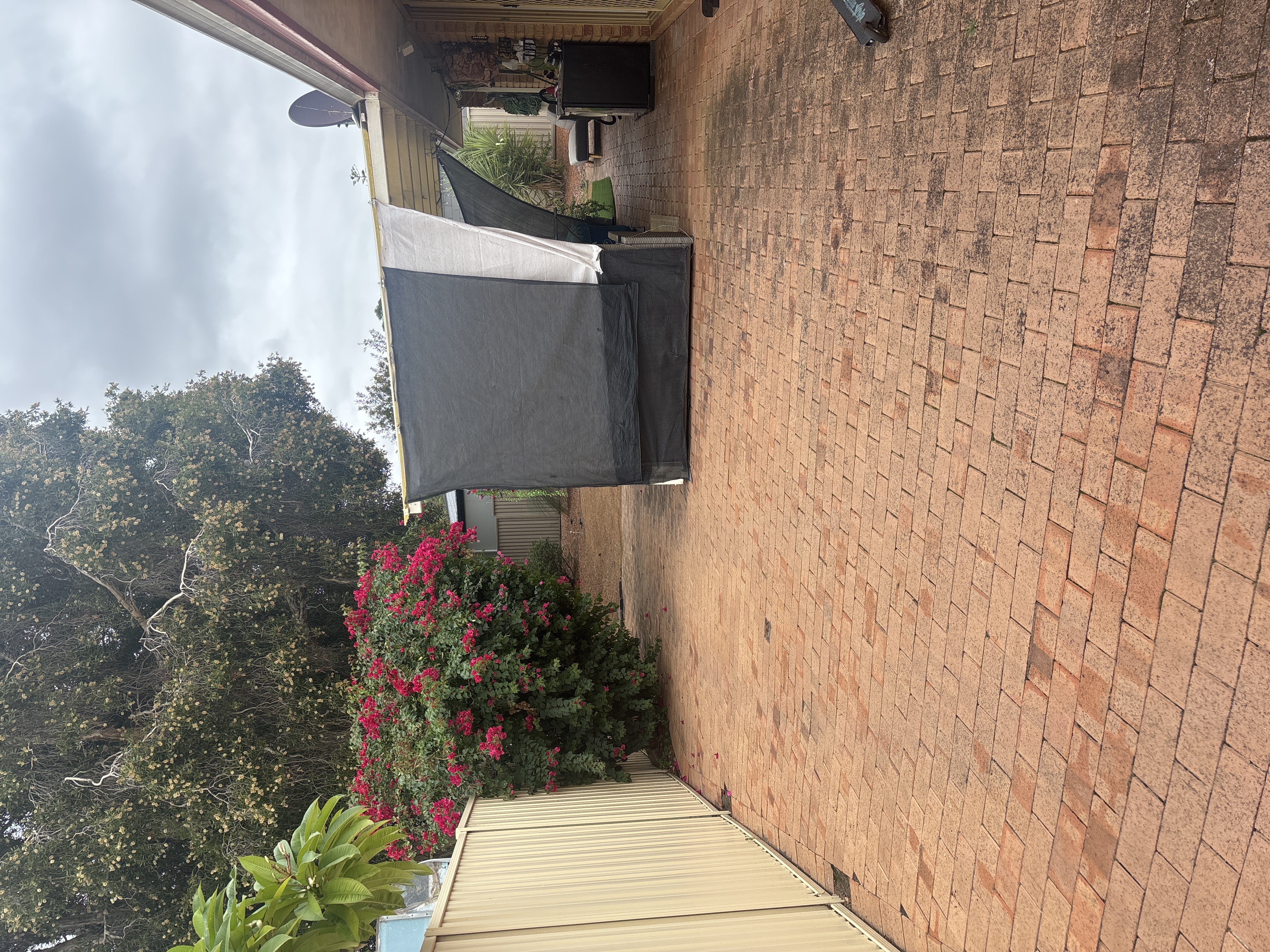 image-16