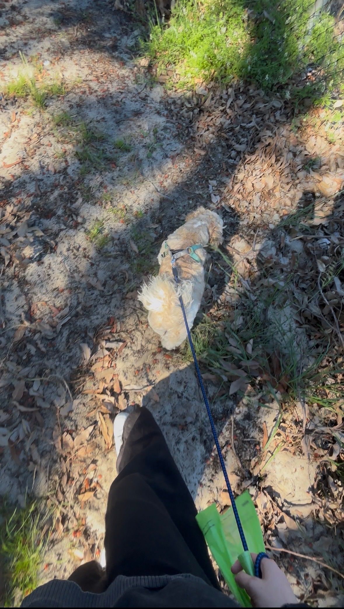image-7