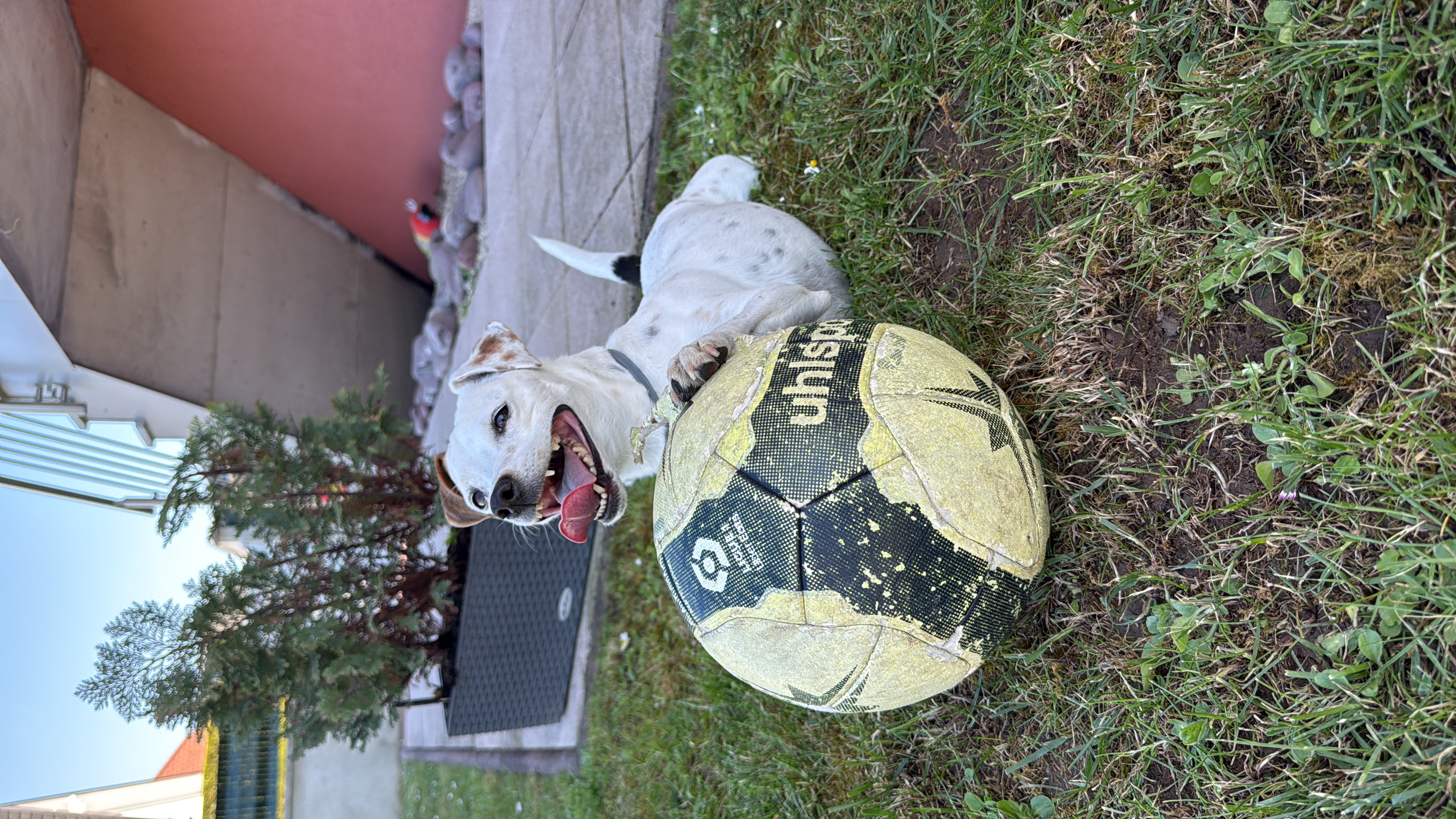 image-7