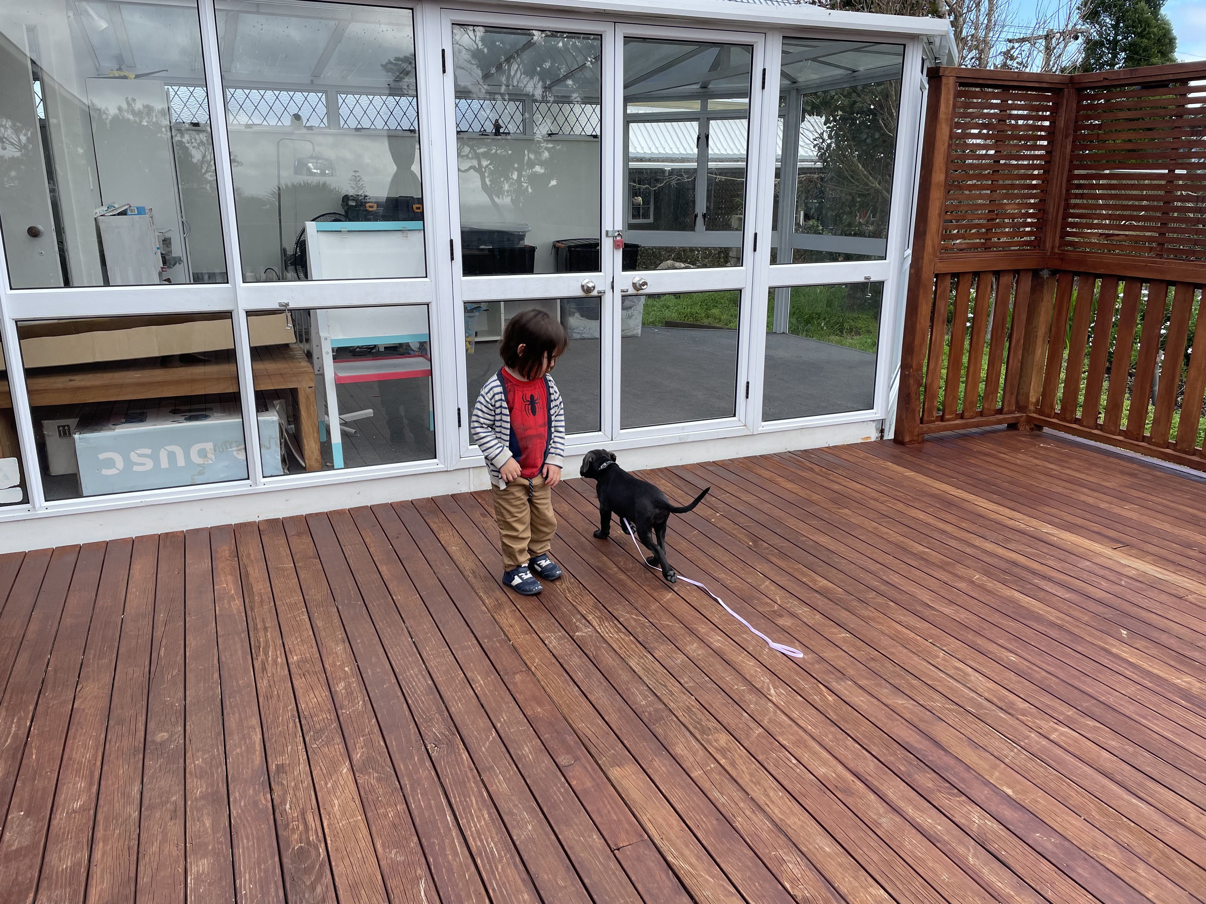 image-15