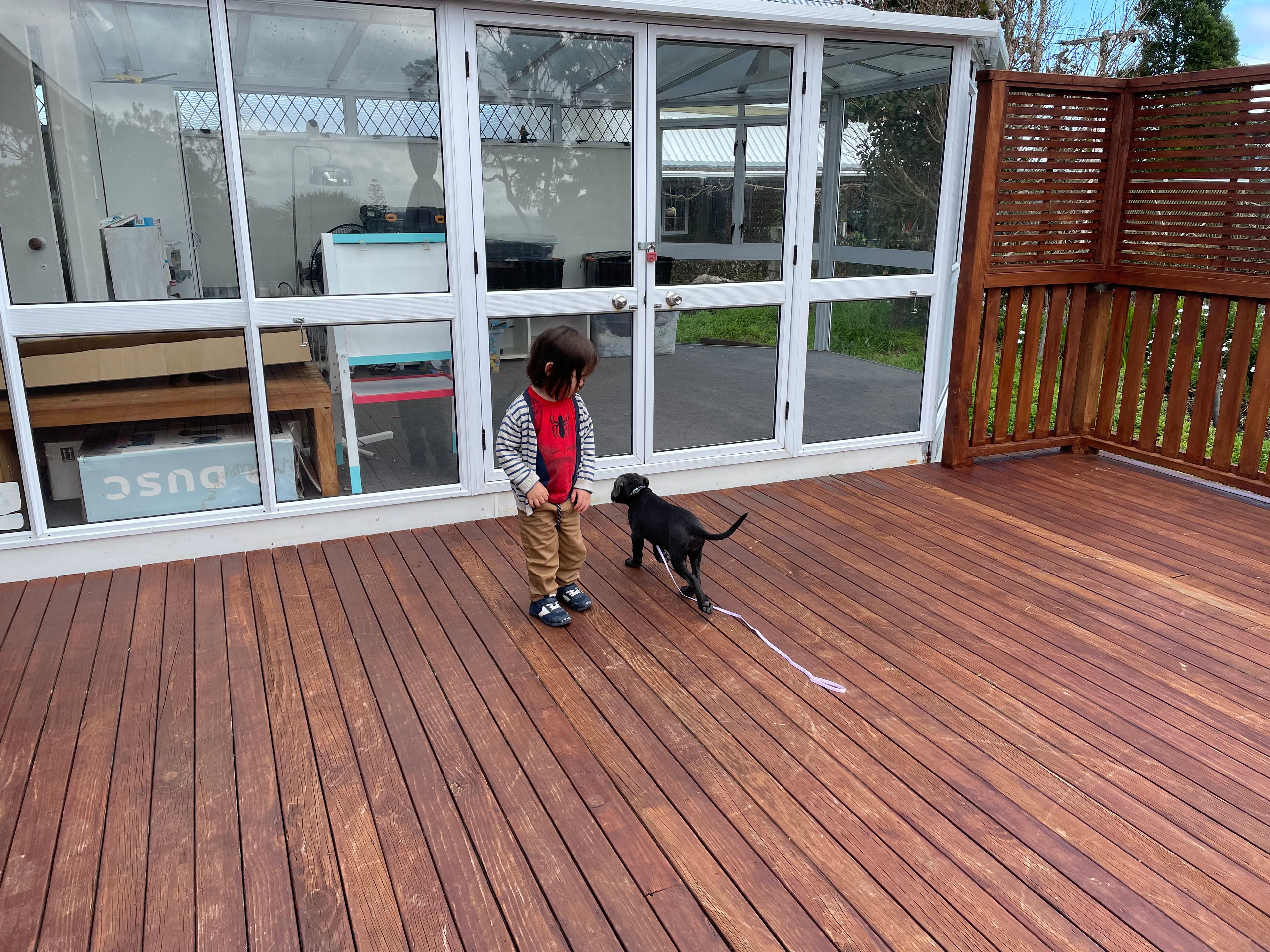 image-15