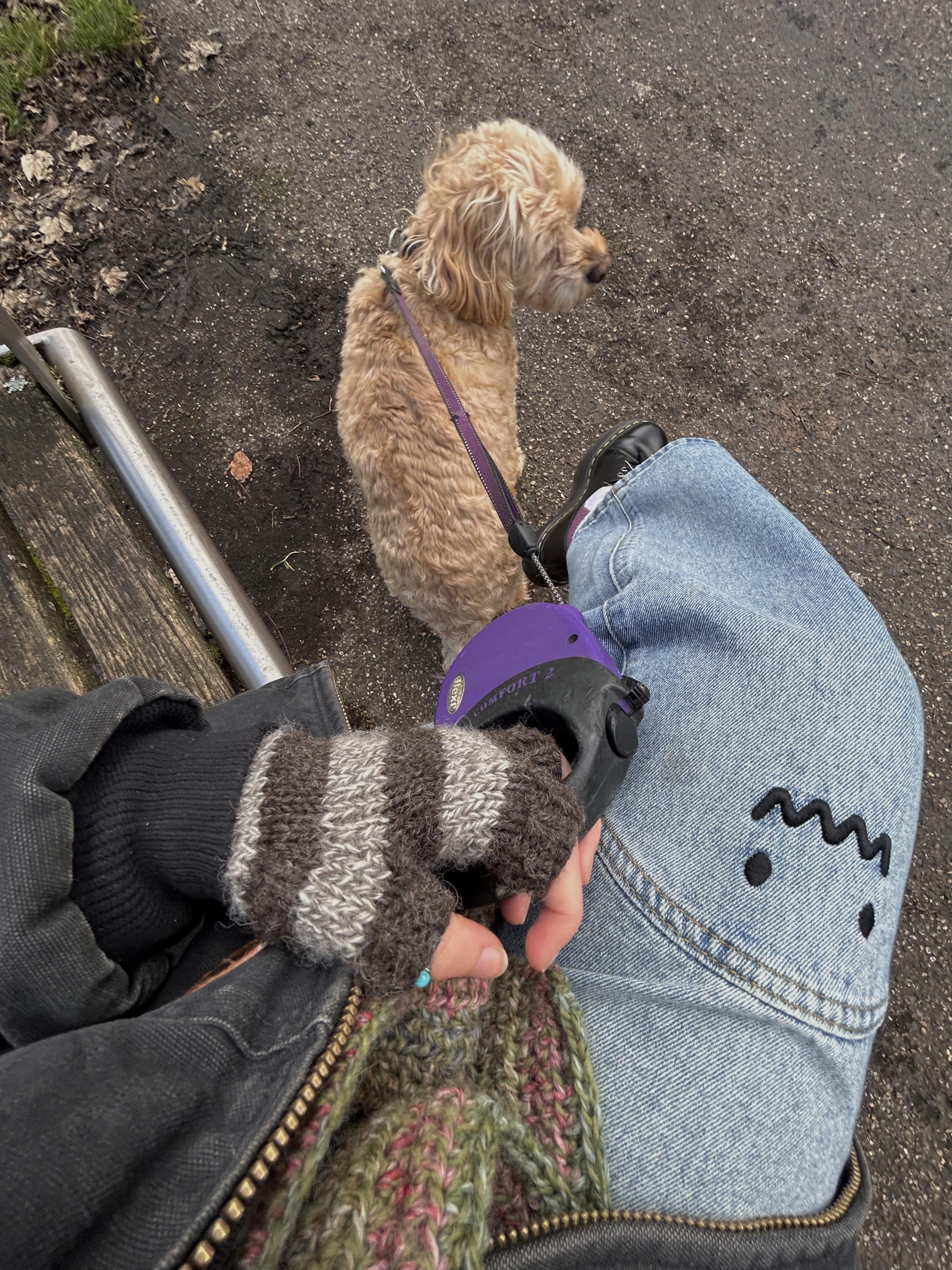 image-7