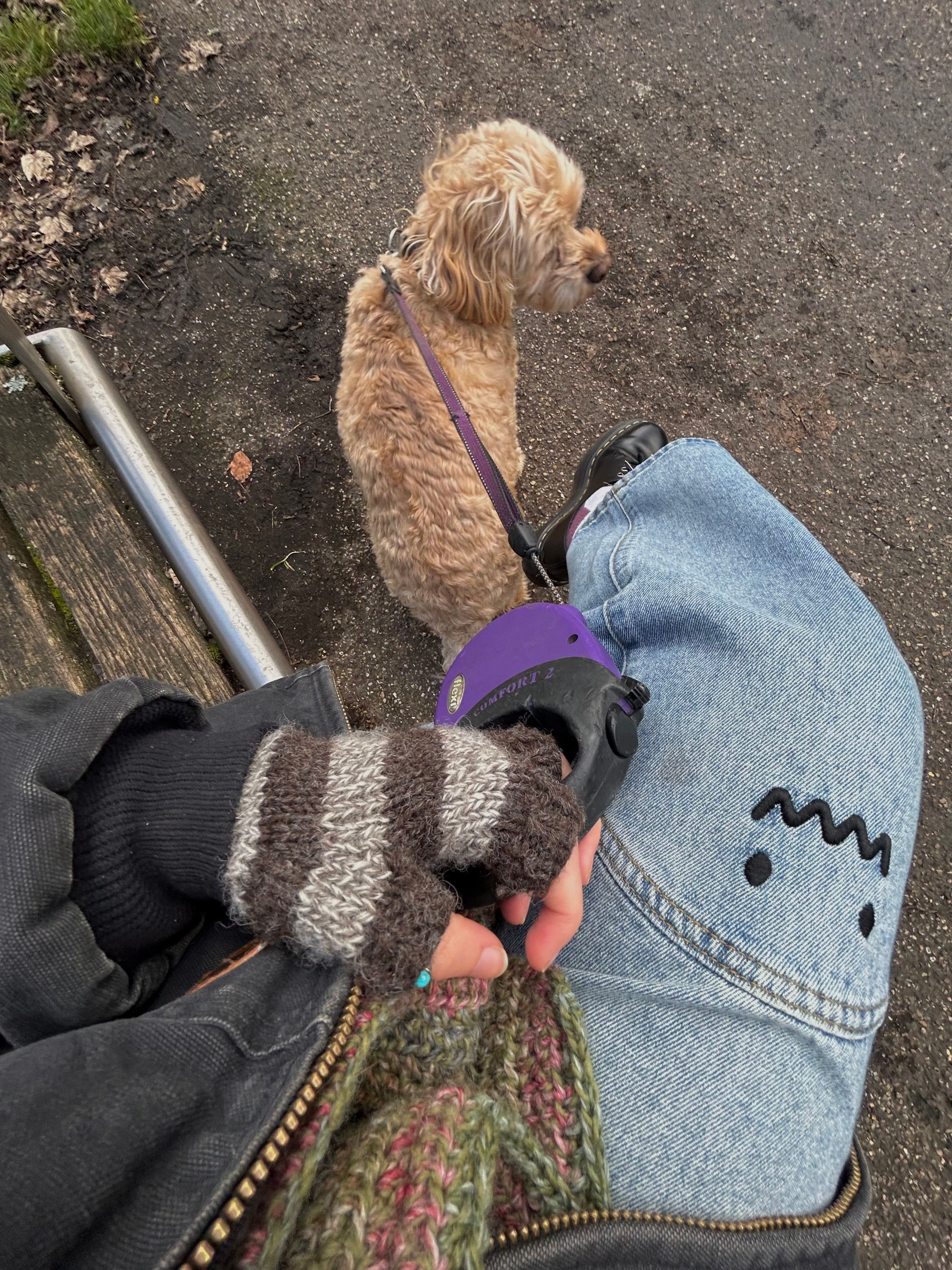 image-7