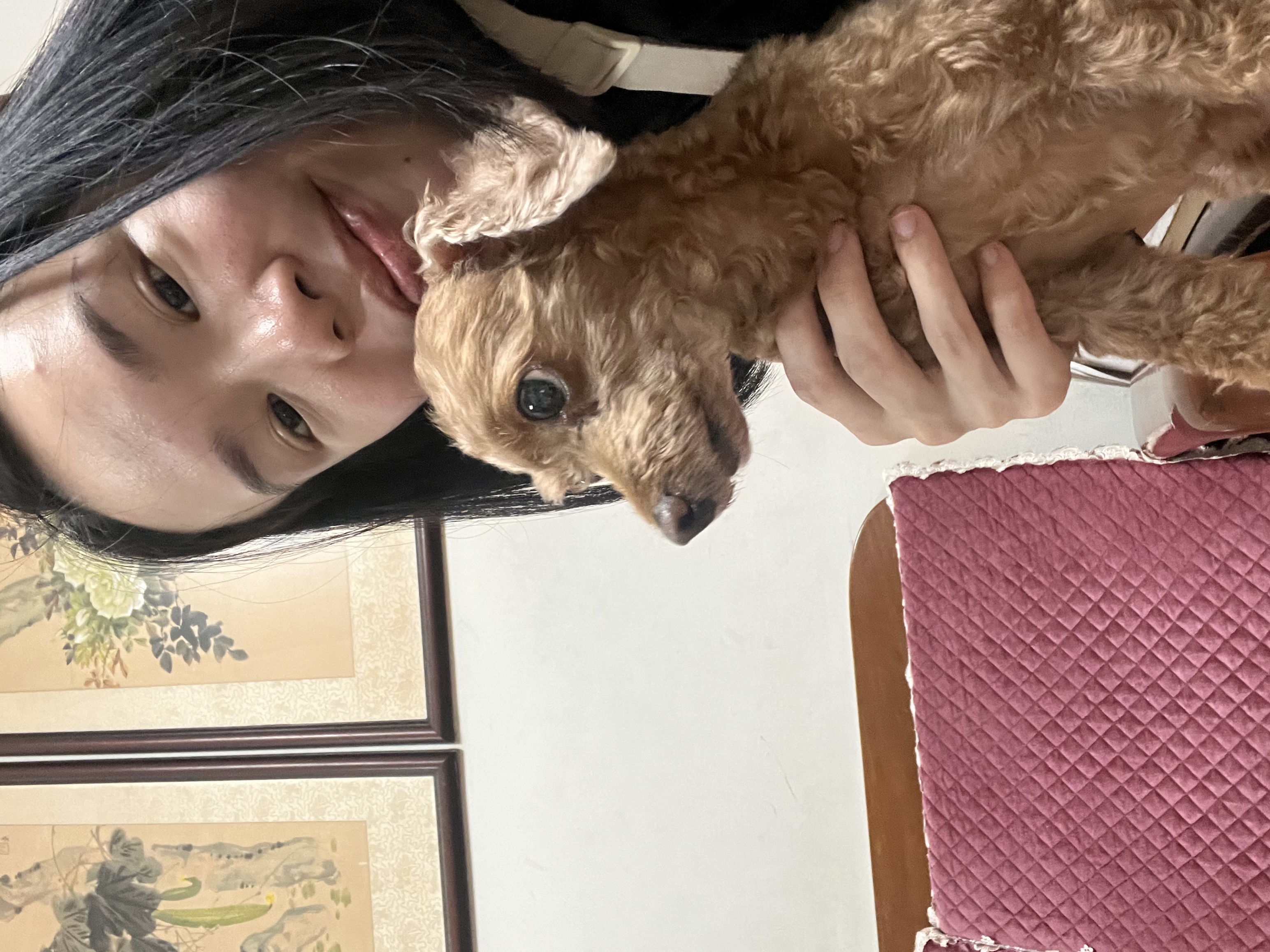 image-12