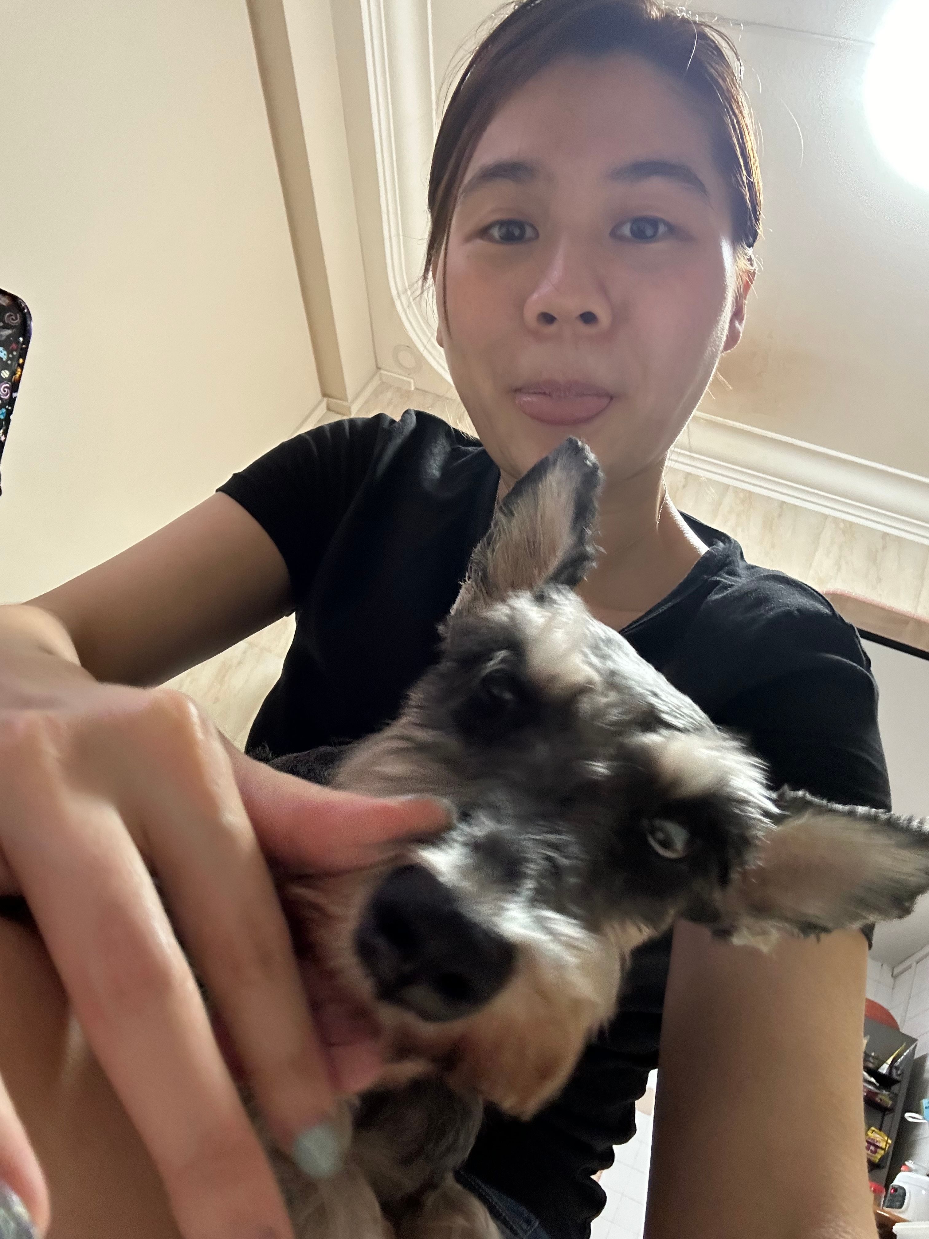 image-3