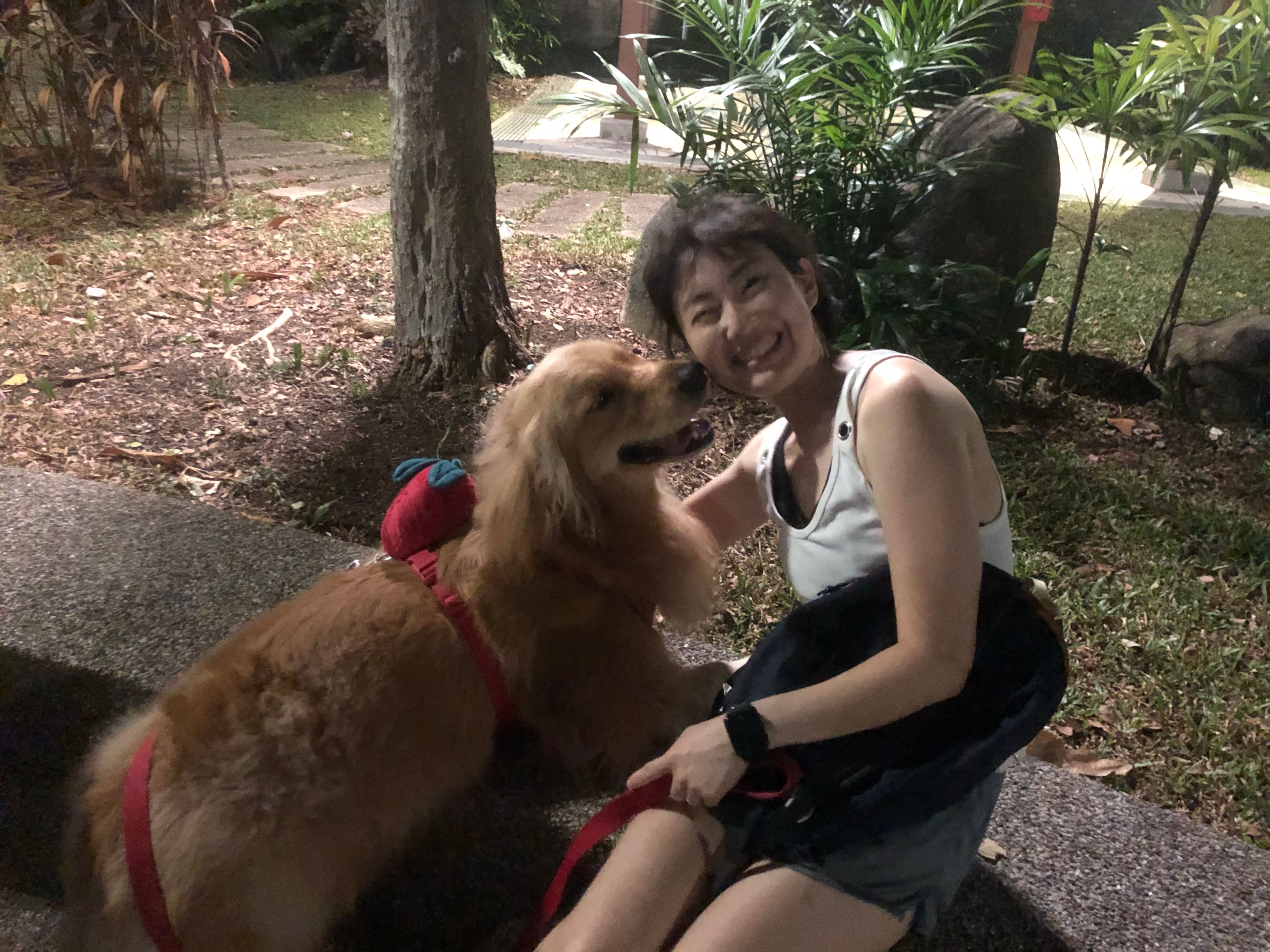 image-10