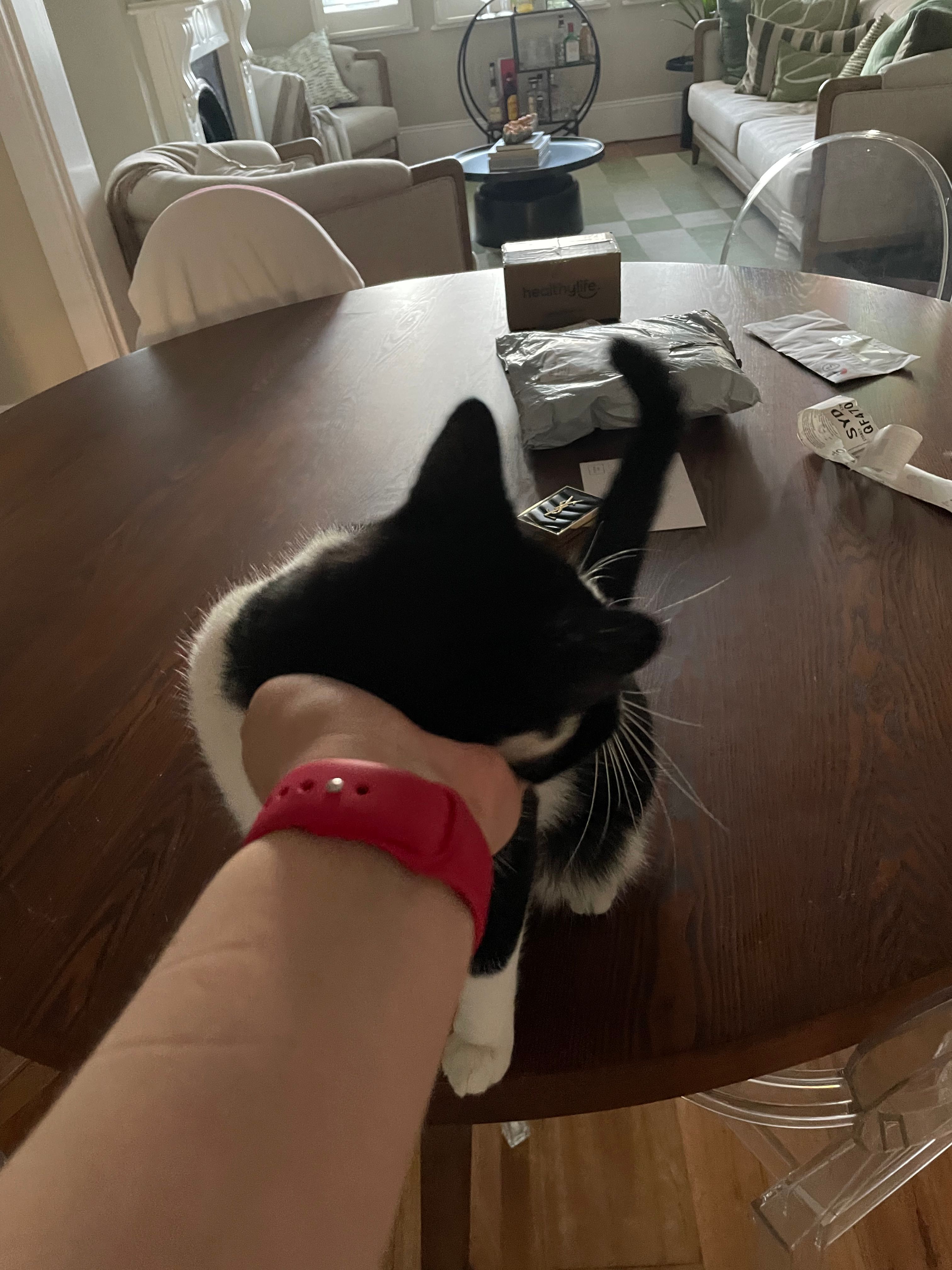 image-8