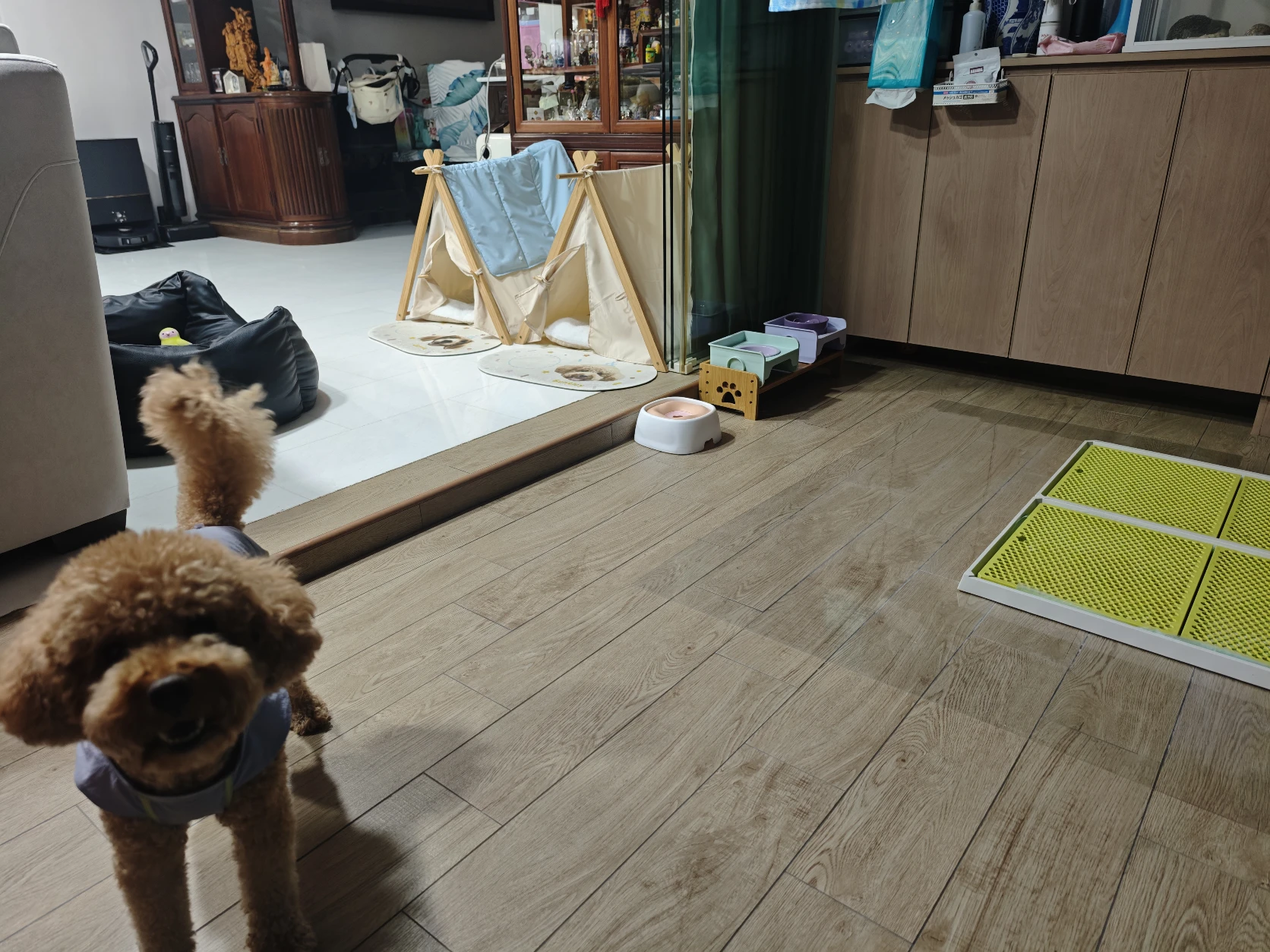 image-7