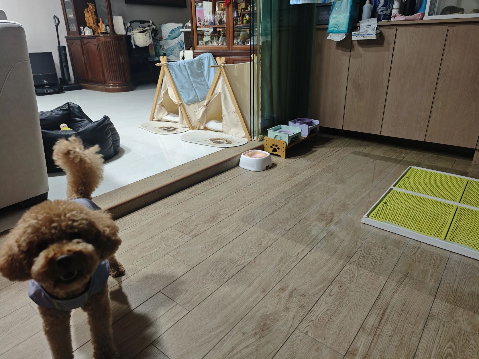 image-7