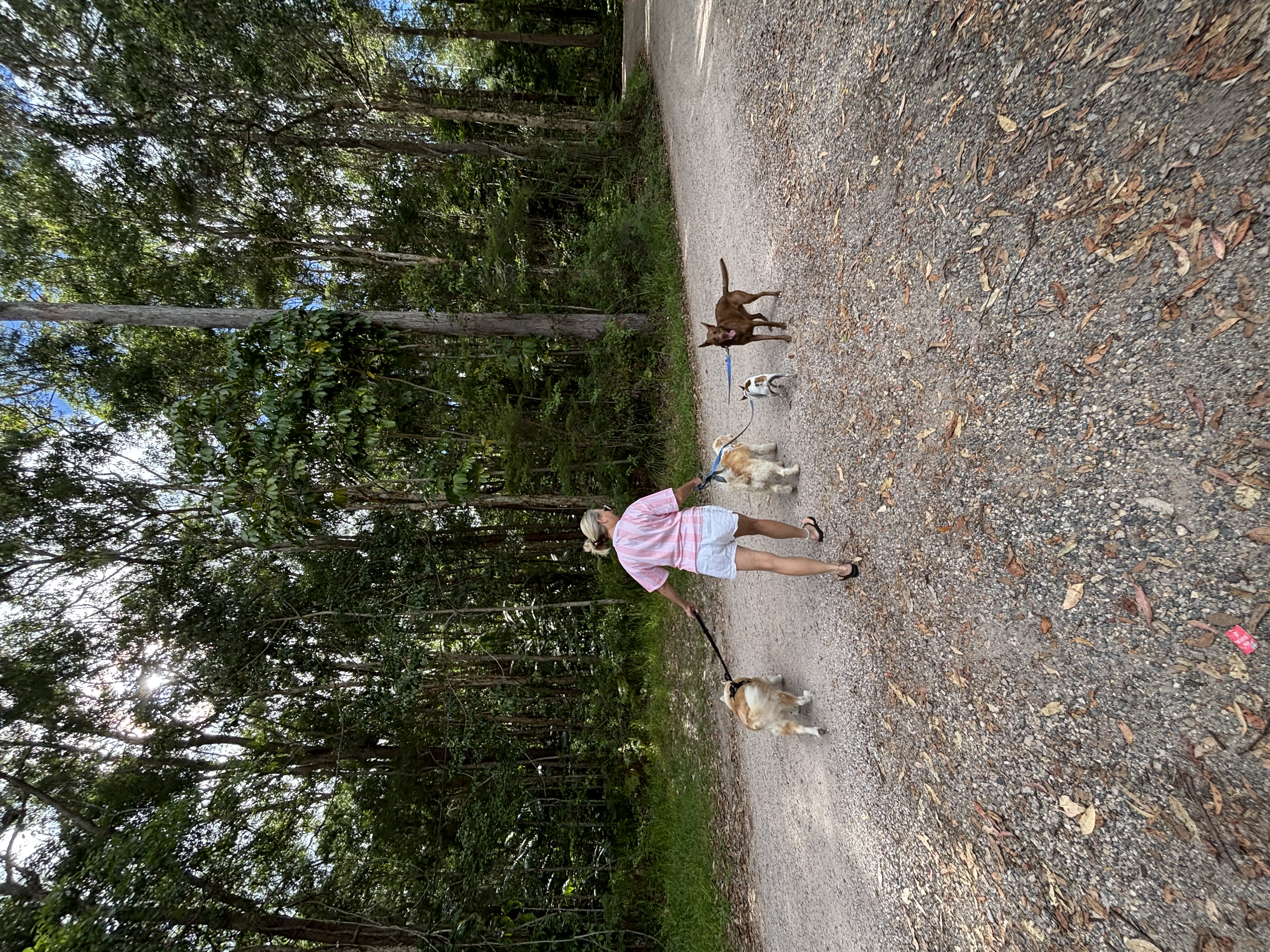 image-14