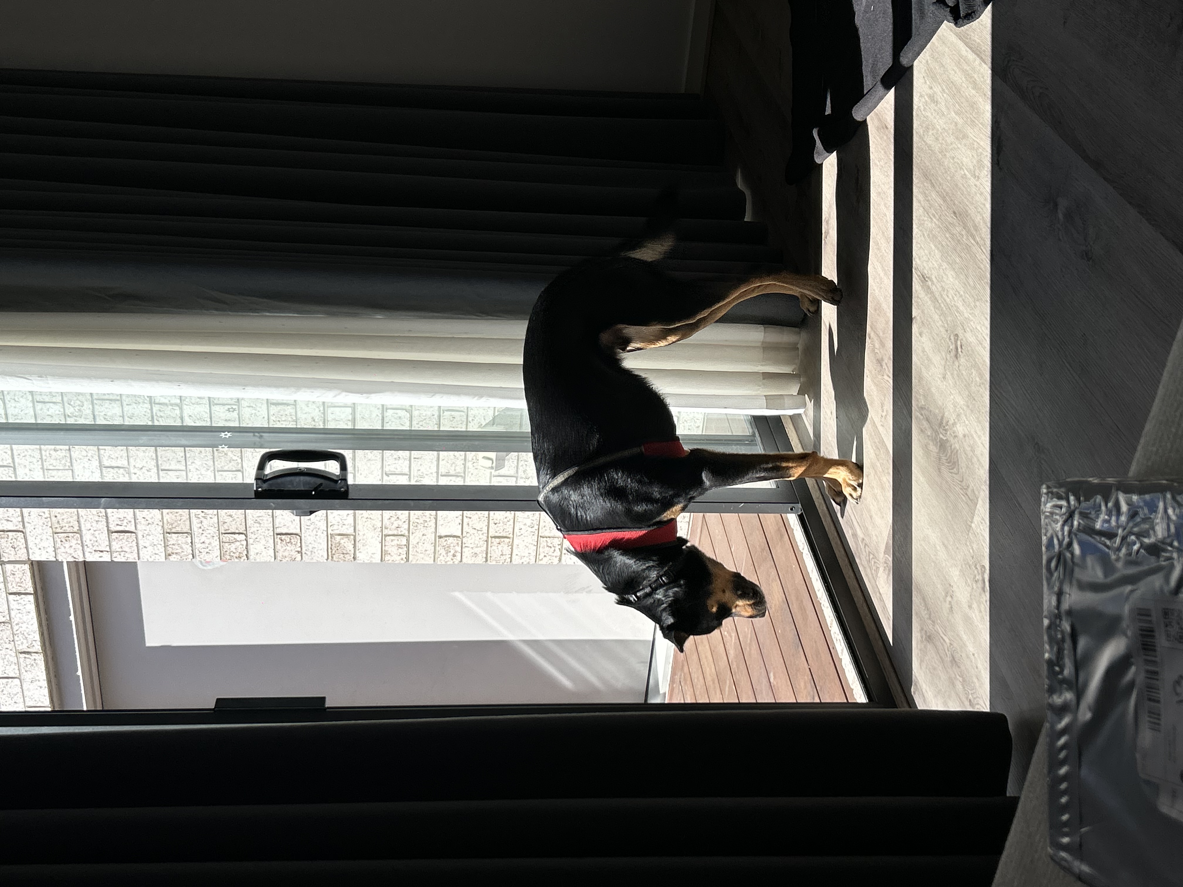 image-13