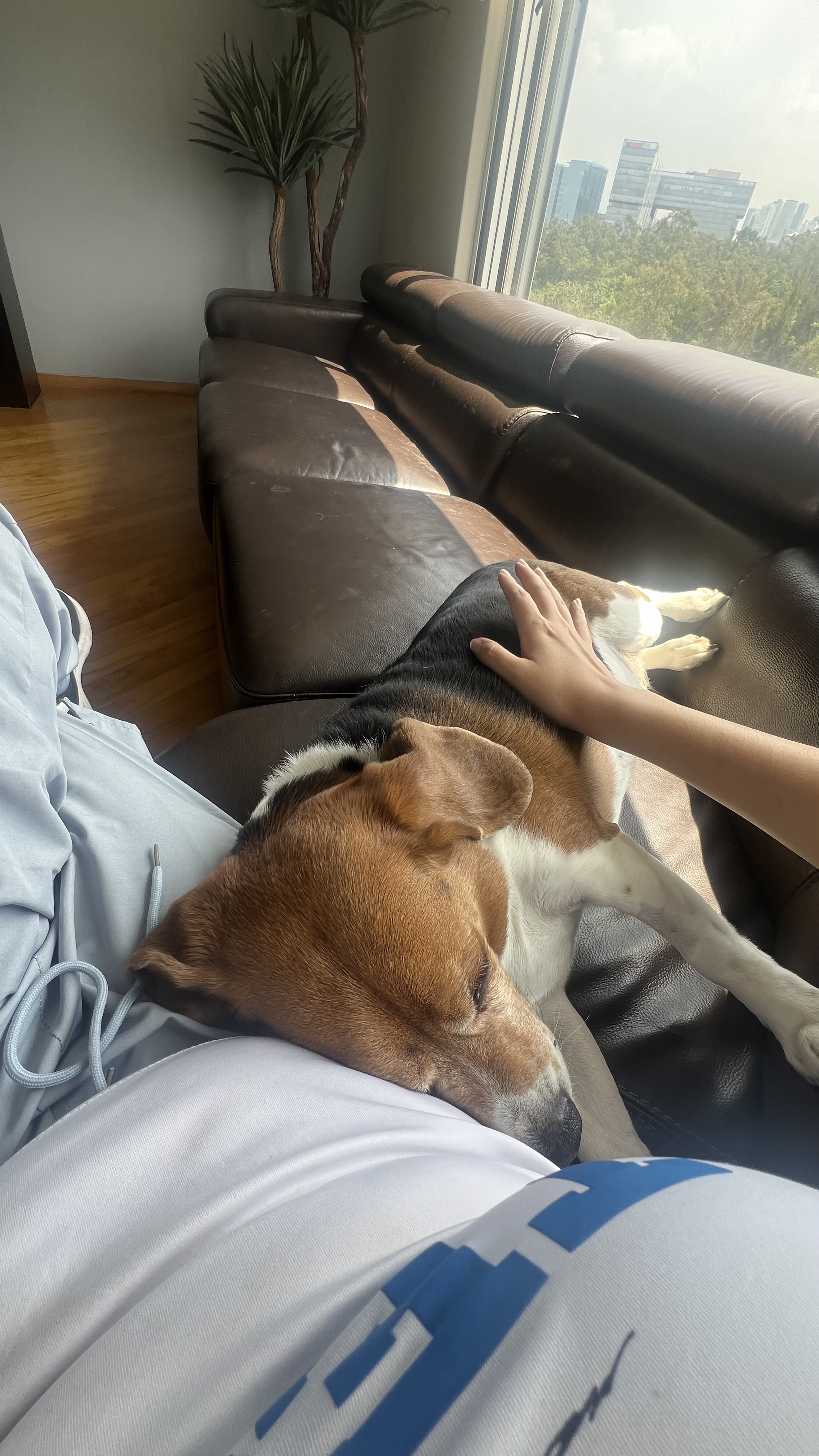 image-6