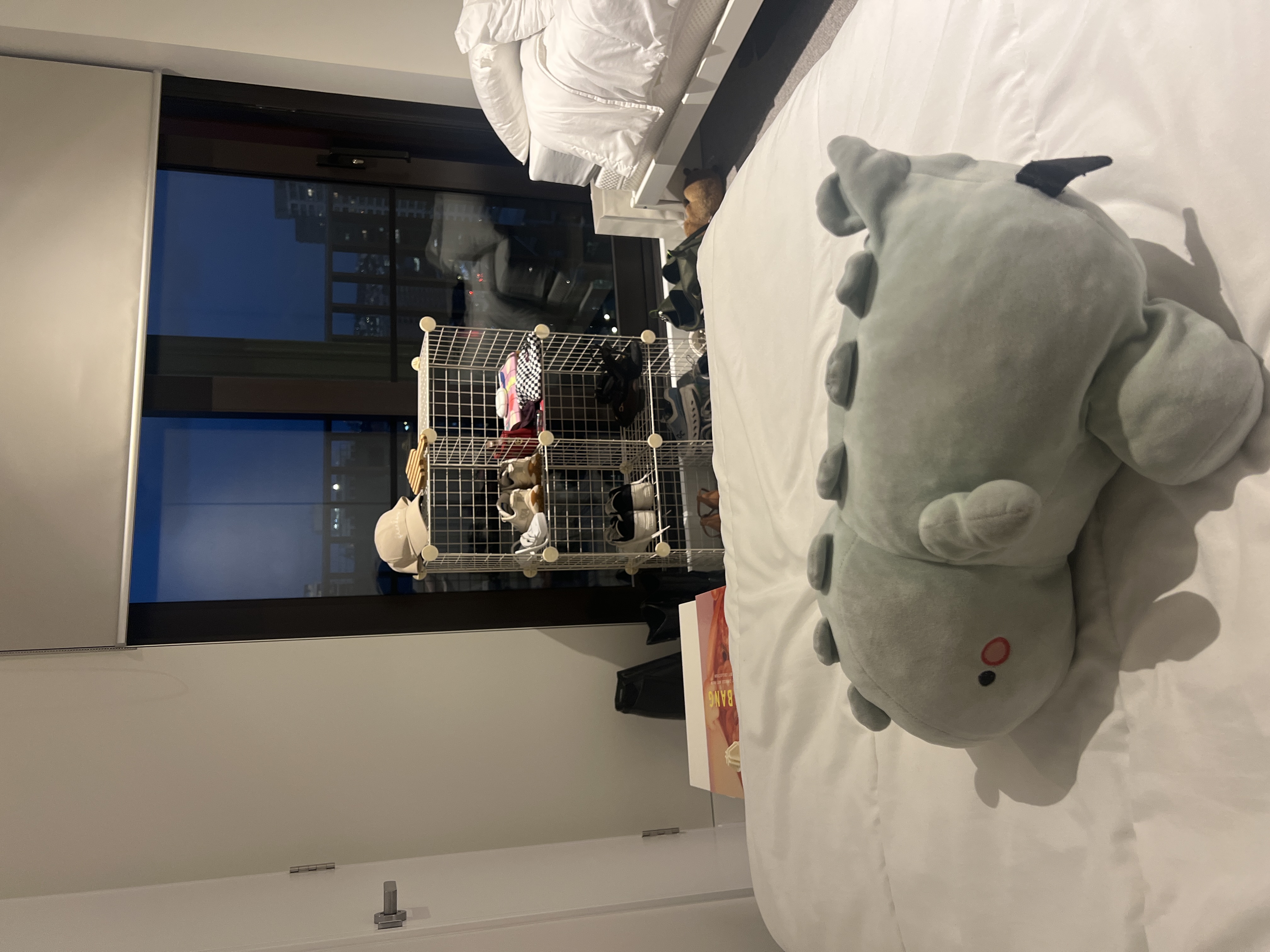 image-15
