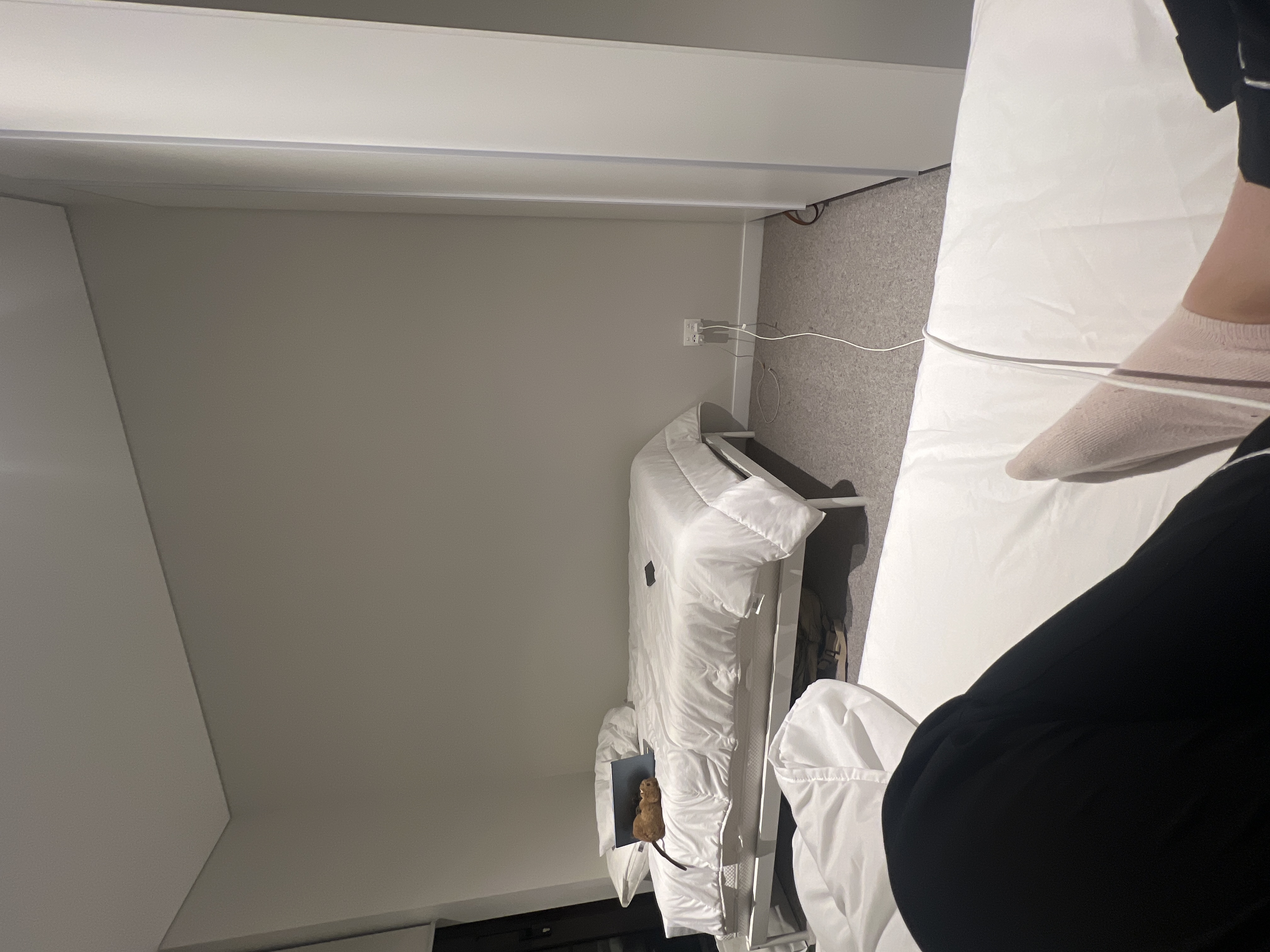 image-10